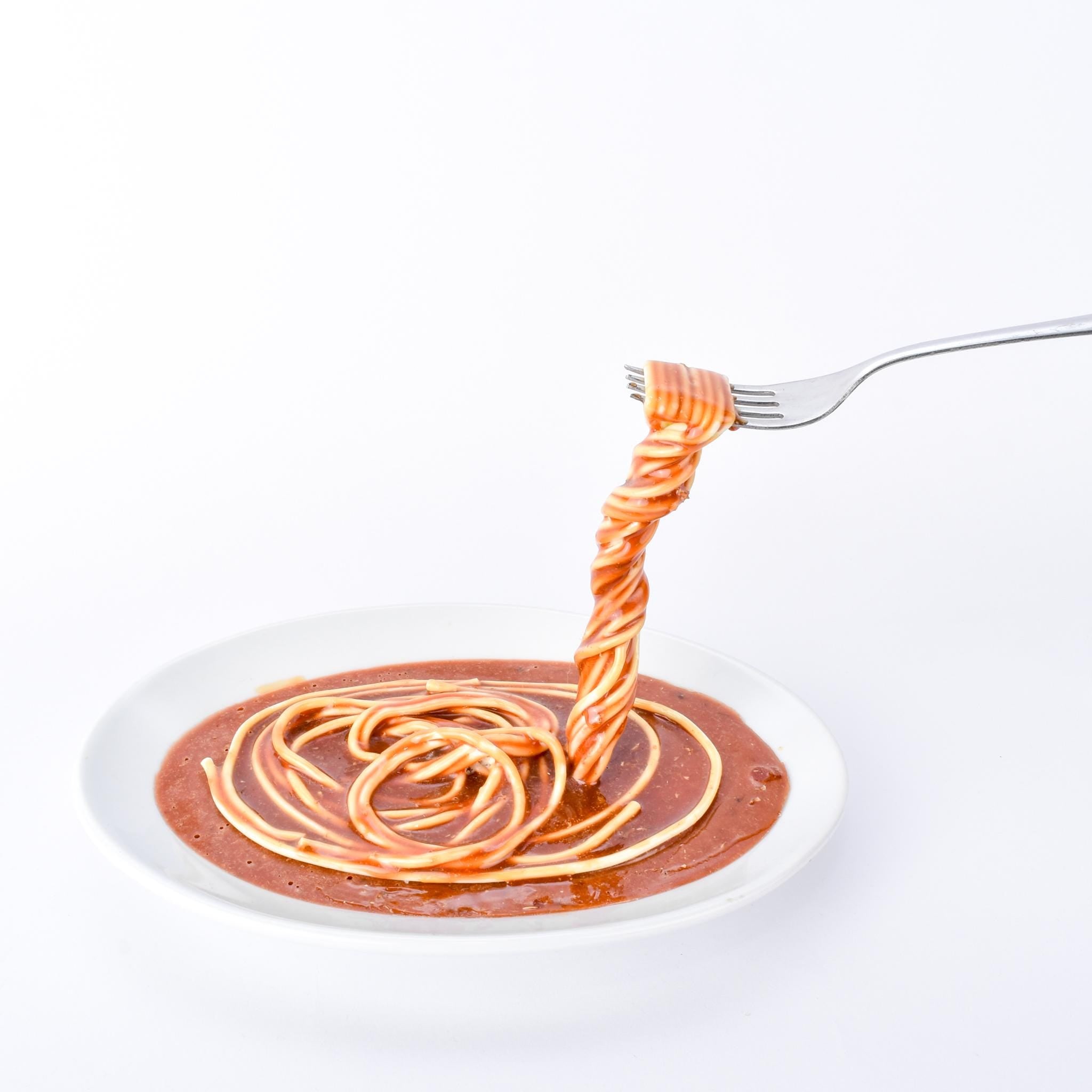 "Frozen Moments" Suspended Spaghetti Sculpture