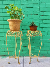 Metal plant stands with swirling designs next to a turquoise brick wall, one holding a potted plant and the other a potted cactus.
