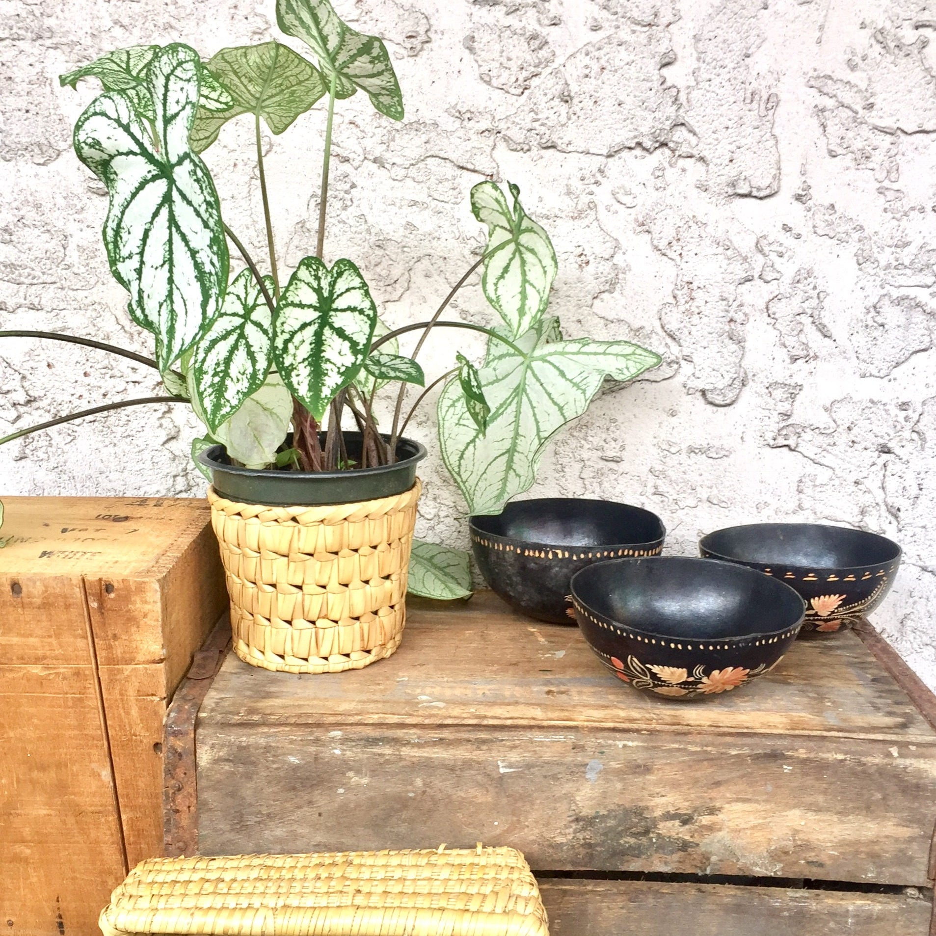 Engraved Gourd Bowl | Etched | Floral | Ethnic | Handmade Bowls | Vintage Home Decor | Rustic Decoration