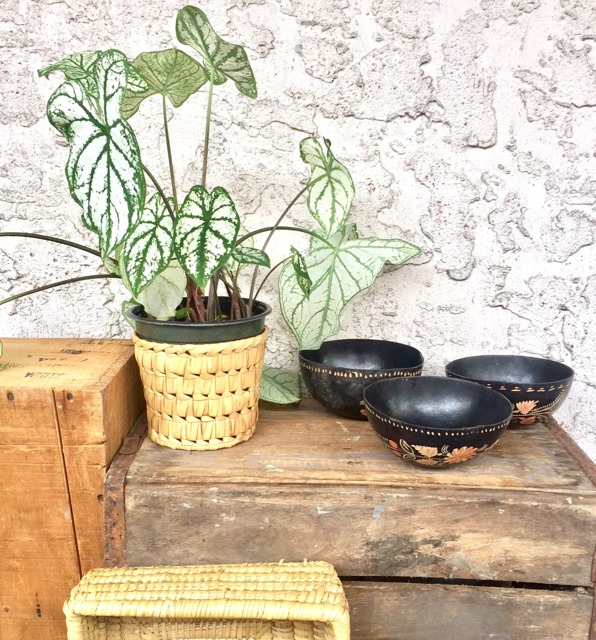 Engraved Gourd Bowl | Etched | Floral | Ethnic | Handmade Bowls | Vintage Home Decor | Rustic Decoration