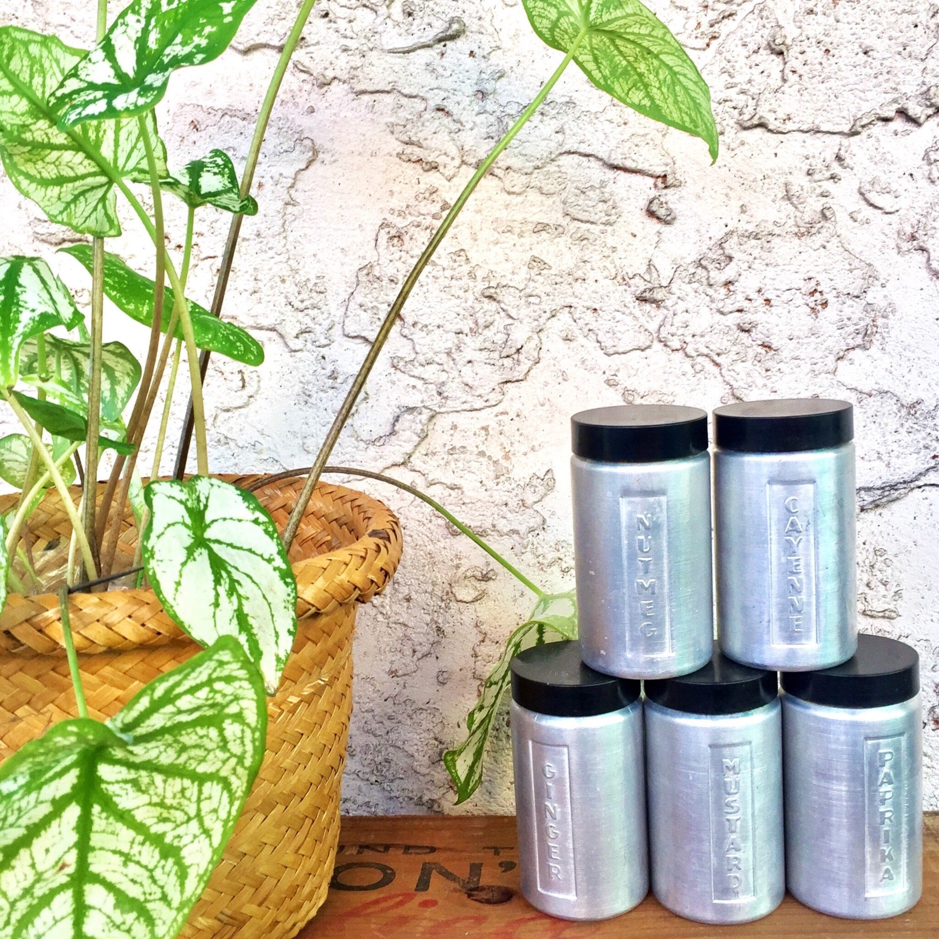 Vintage Spice Jar Set, 1970's Decor, Vintage Home Decor, Stainless Steel, Spice Jar, Steel Masters, Organization, Made in Italy, Retro