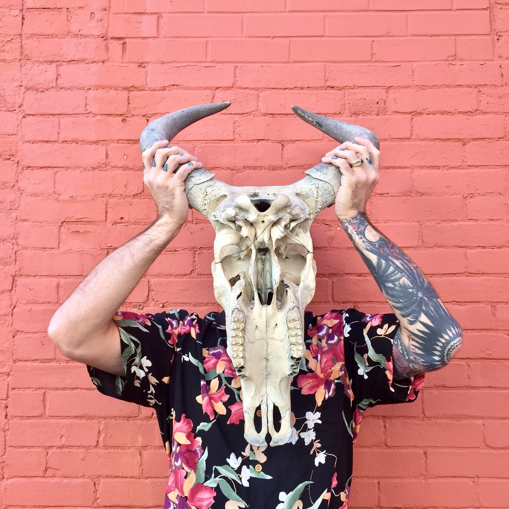 Tattooed person holding a large steer skull adorned with flowers in front of a pink brick wall, showcasing bohemian southwestern home decor.
