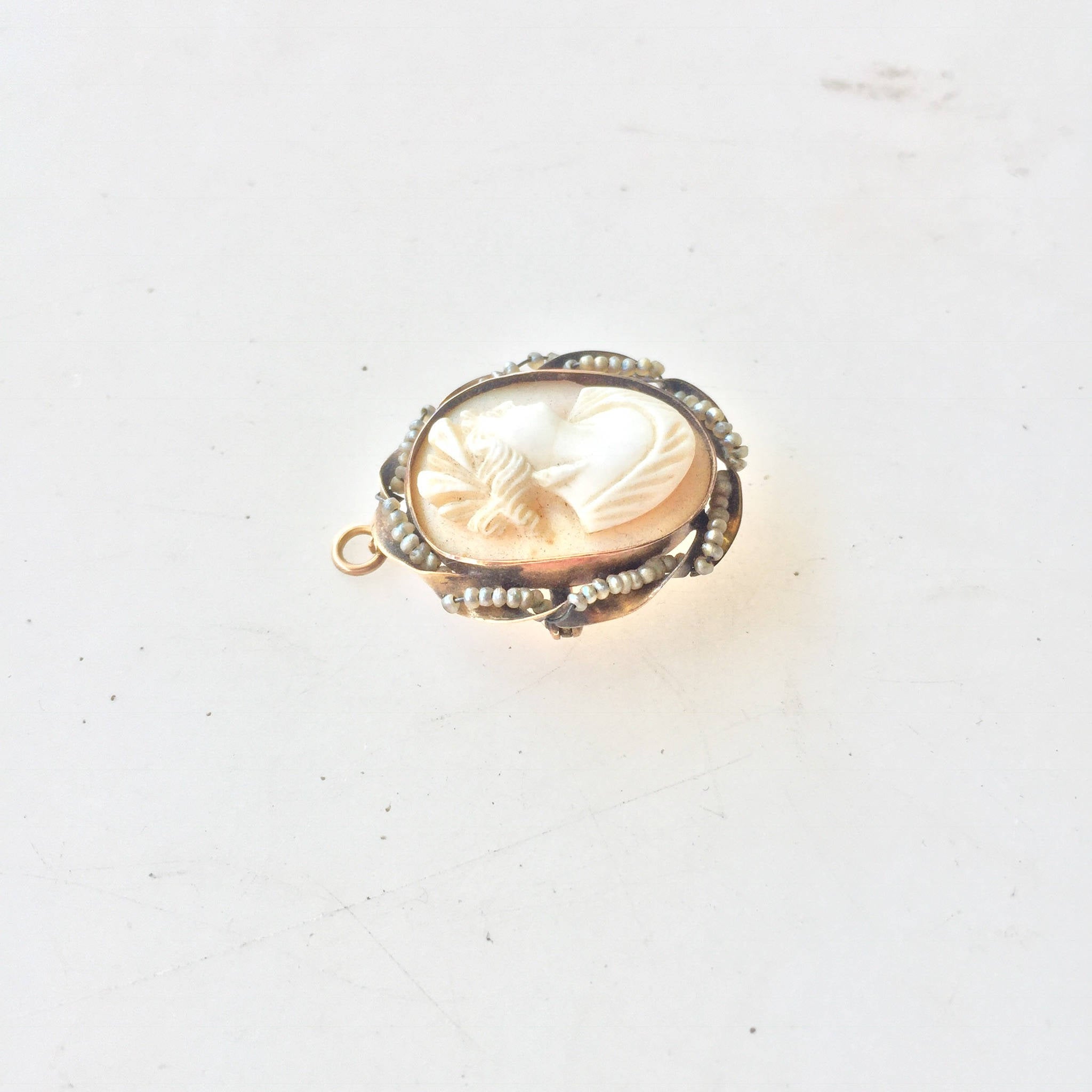 10 karat gold vintage carved shell cameo brooch or pendant necklace against a plain white background