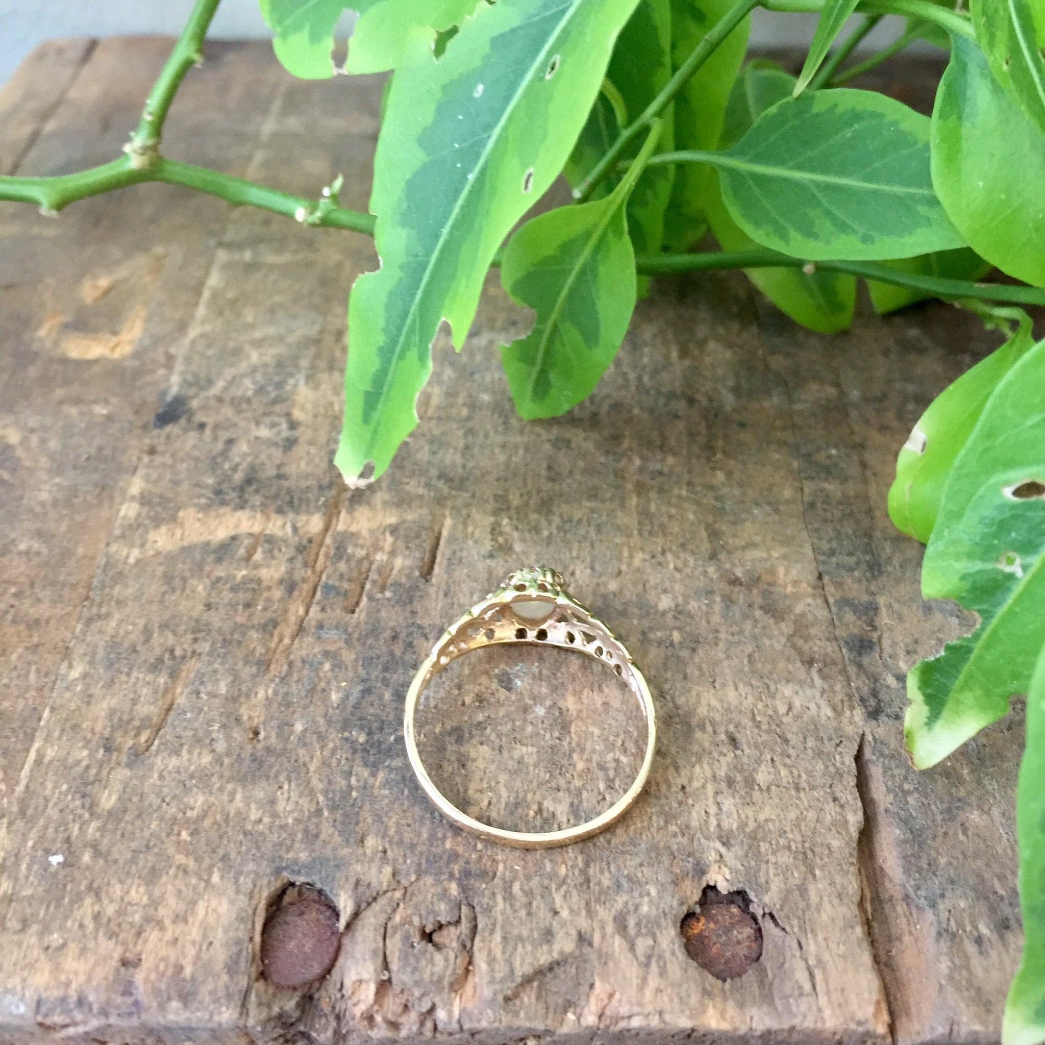 Fresh green plant leaves and stems on a rustic wooden surface, with a delicate vintage gold filigree ring with small opal stones placed in the foreground.