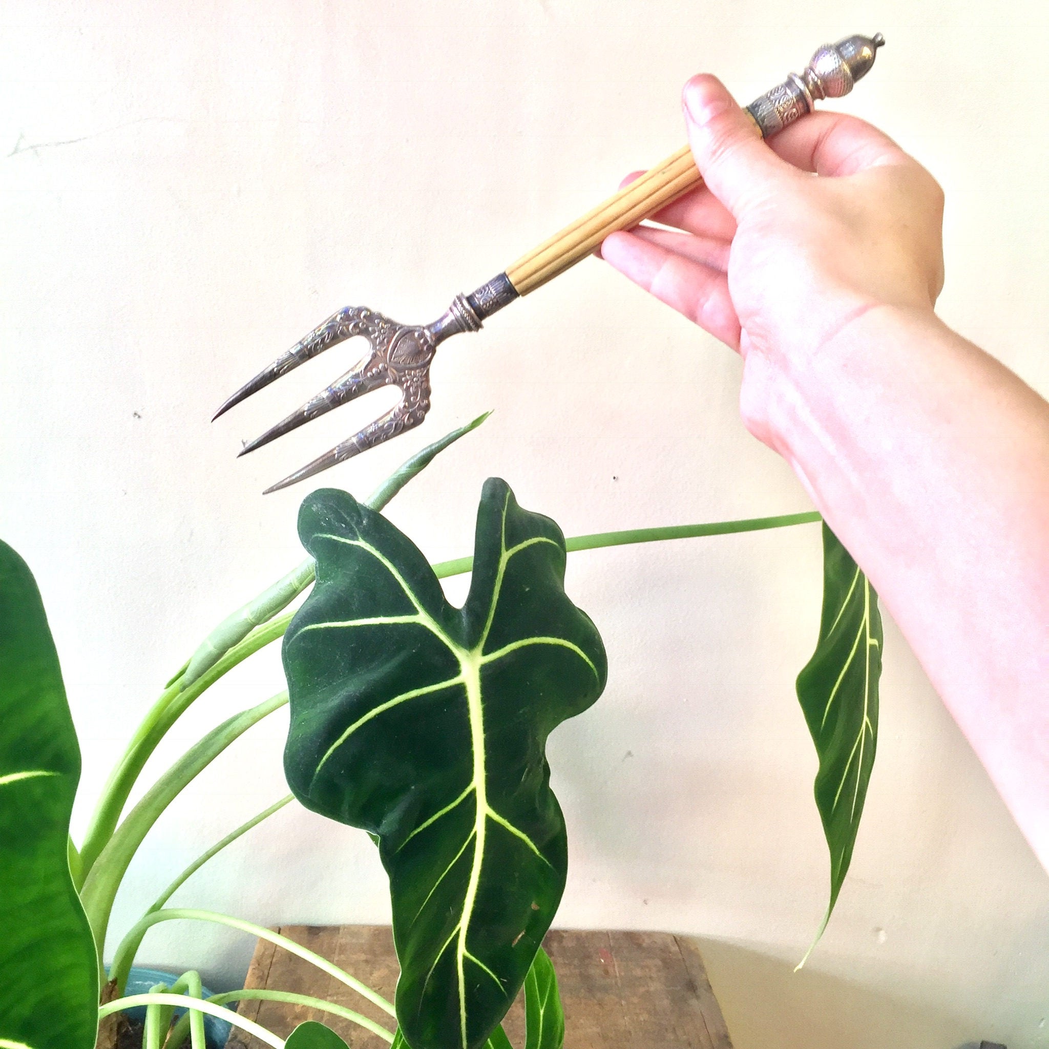 Victorian Bread Fork | Antique Serving Fork | Bone Handle | Engraved Design | Toast Fork | Antique Silverware | Victorian Silverware |