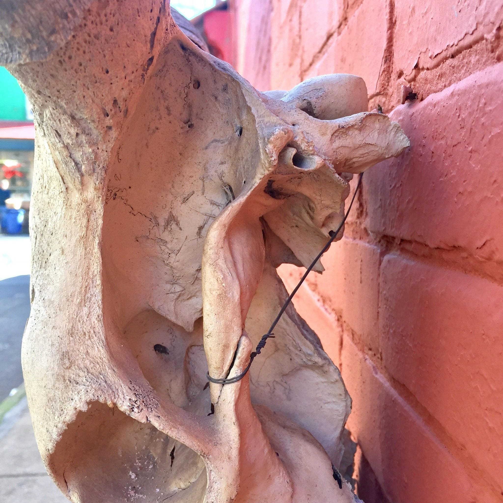 Close-up view of an aged steer skull showing textured, cracked detail on the bone surface against a pink stucco wall background, providing rustic Southwestern bohemian home decor or wall hanging.
