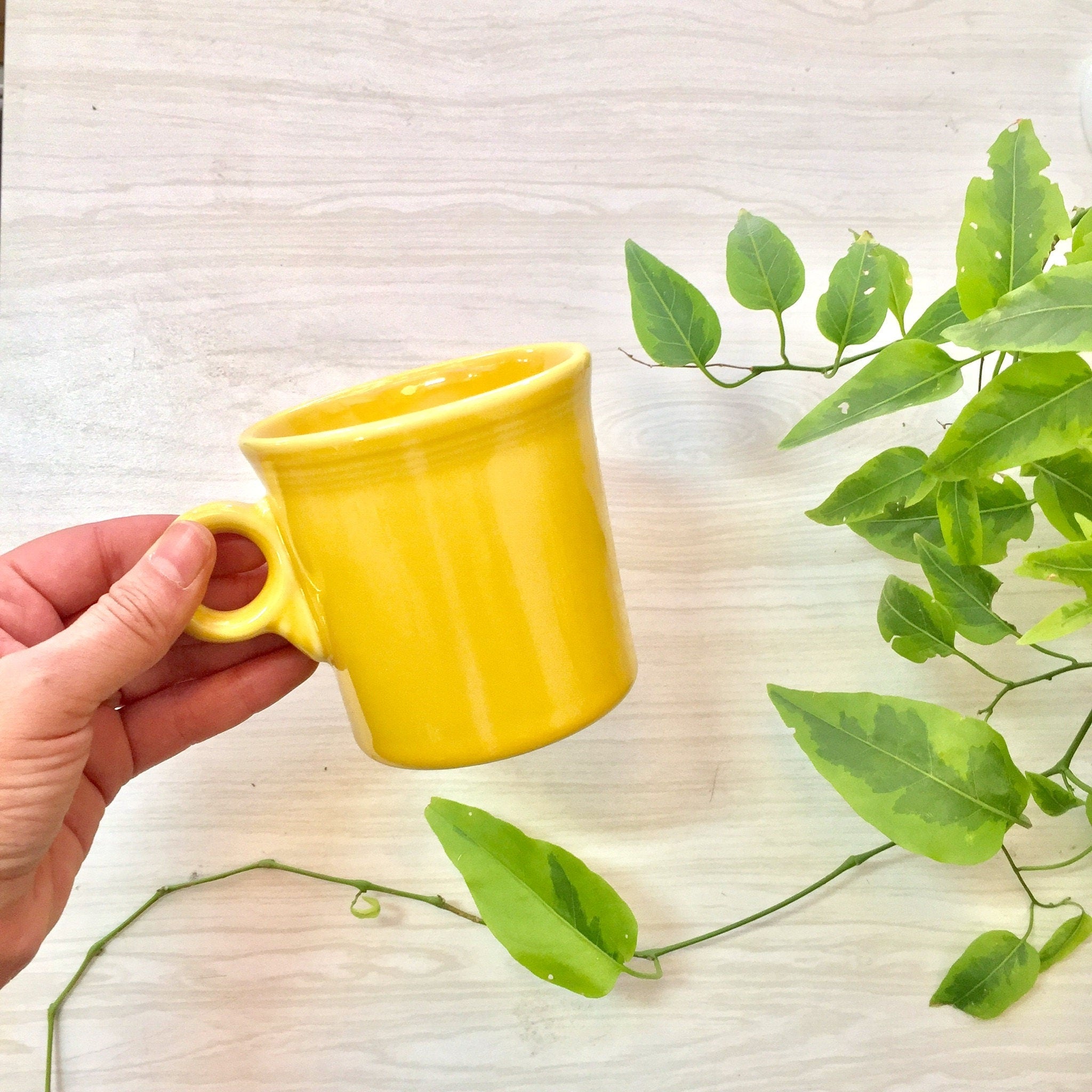 Set Of Three Fiesta Mugs | Tom and Jerry Yellow Fiesta Mugs | Fiestaware | Ring Handle Mug | HLC Fiesta Mug | Yellow Mug | Homer Laughlin |