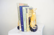 Antique bookends | greyhounds | Mantle piece | 1800s | ceramic dog | dog lover gift | vintage | cobalt and white | books | bookends | dogs