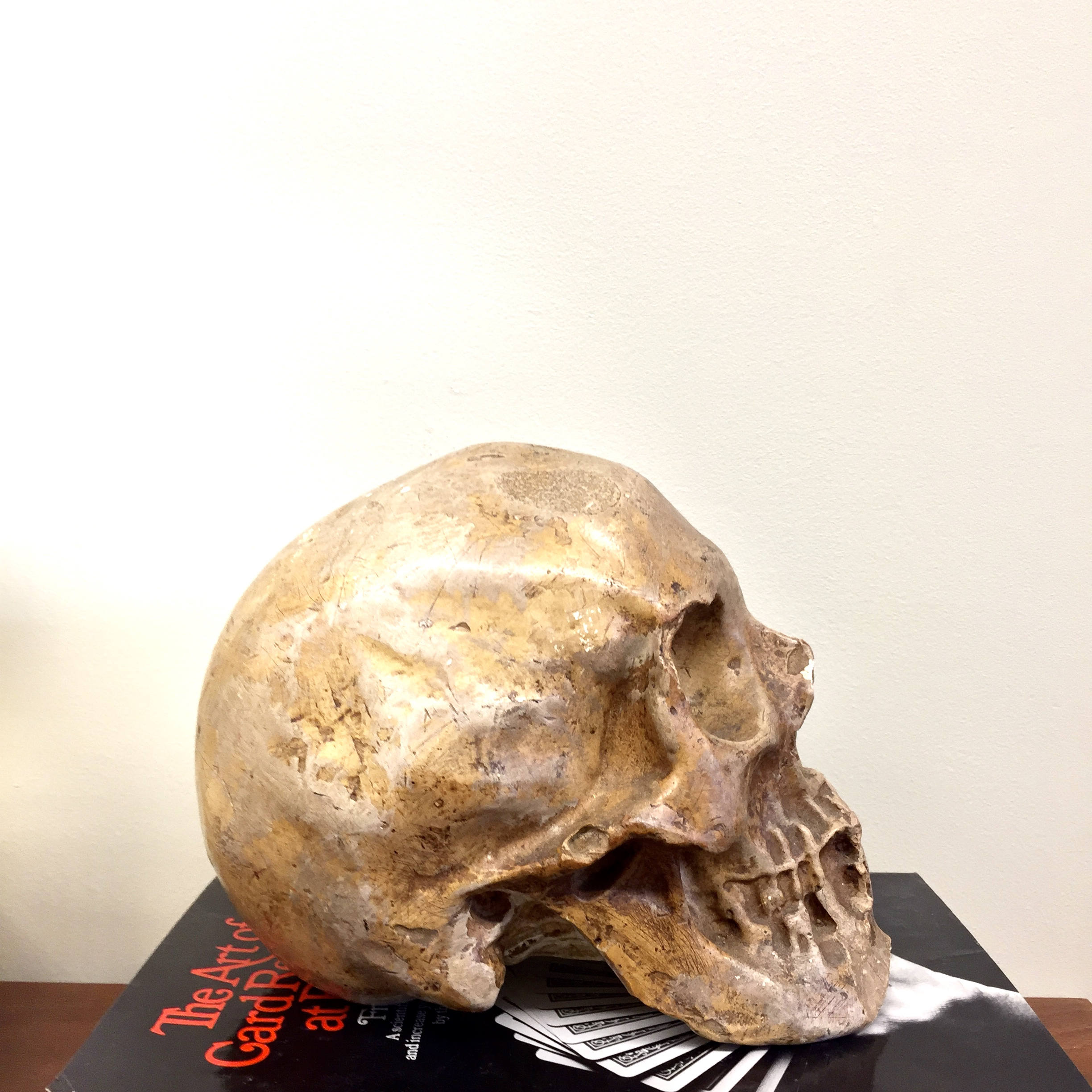 Vintage Decorative Human Skull | Ceramic Skull Decoration | Vintage Home Decor | Mantle Piece | Holiday Gift Idea | Ceramic Art |