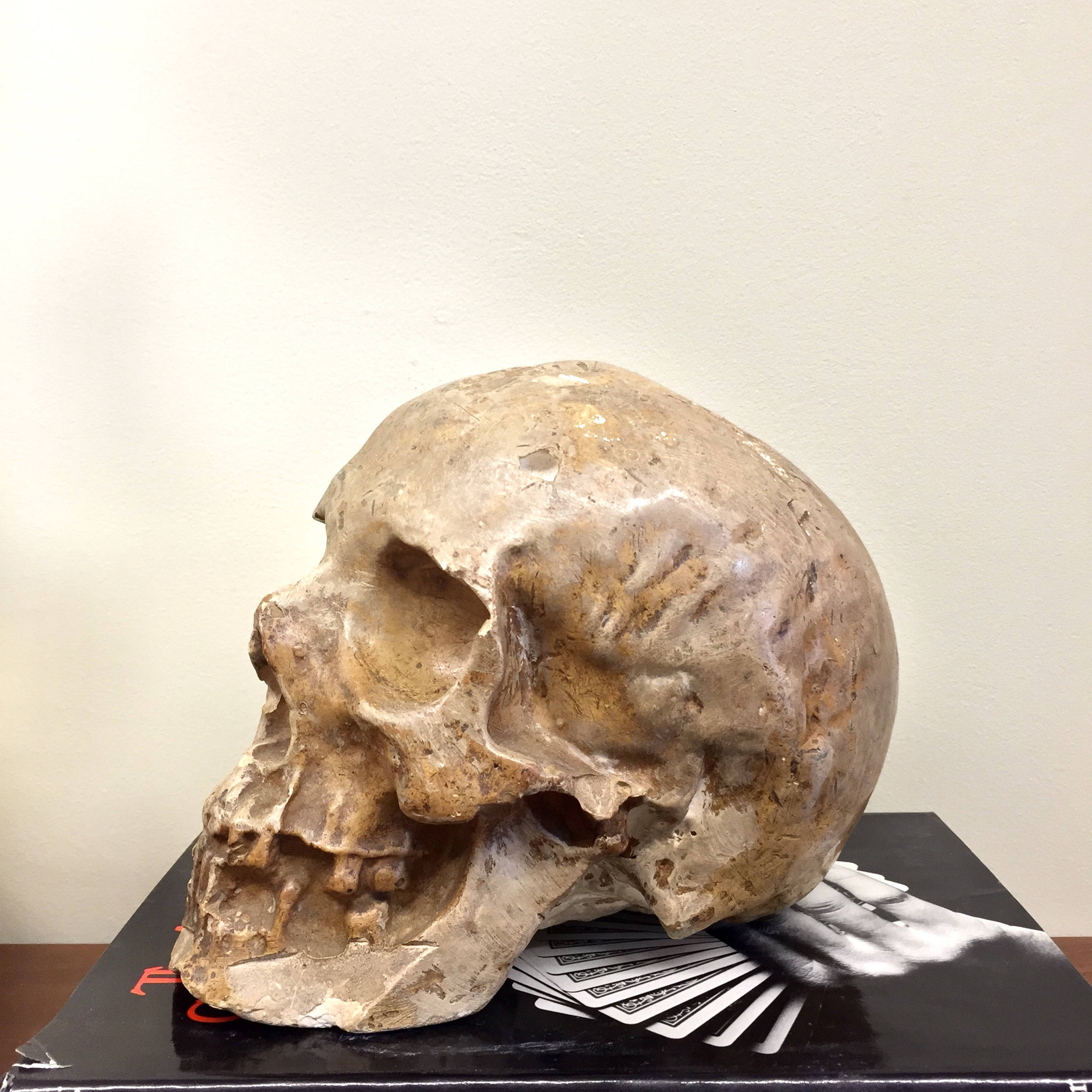 Vintage Decorative Human Skull | Ceramic Skull Decoration | Vintage Home Decor | Mantle Piece | Holiday Gift Idea | Ceramic Art |