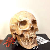 Vintage Decorative Human Skull | Ceramic Skull Decoration | Vintage Home Decor | Mantle Piece | Holiday Gift Idea | Ceramic Art |