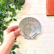 Vintage Pewter Ash Tray | Shell Tray | Seashell Ashtray | Pewter Dish | Catch All Dish | Jewelry Dish | Ring Dish | Pewter Ashtray | Pewter