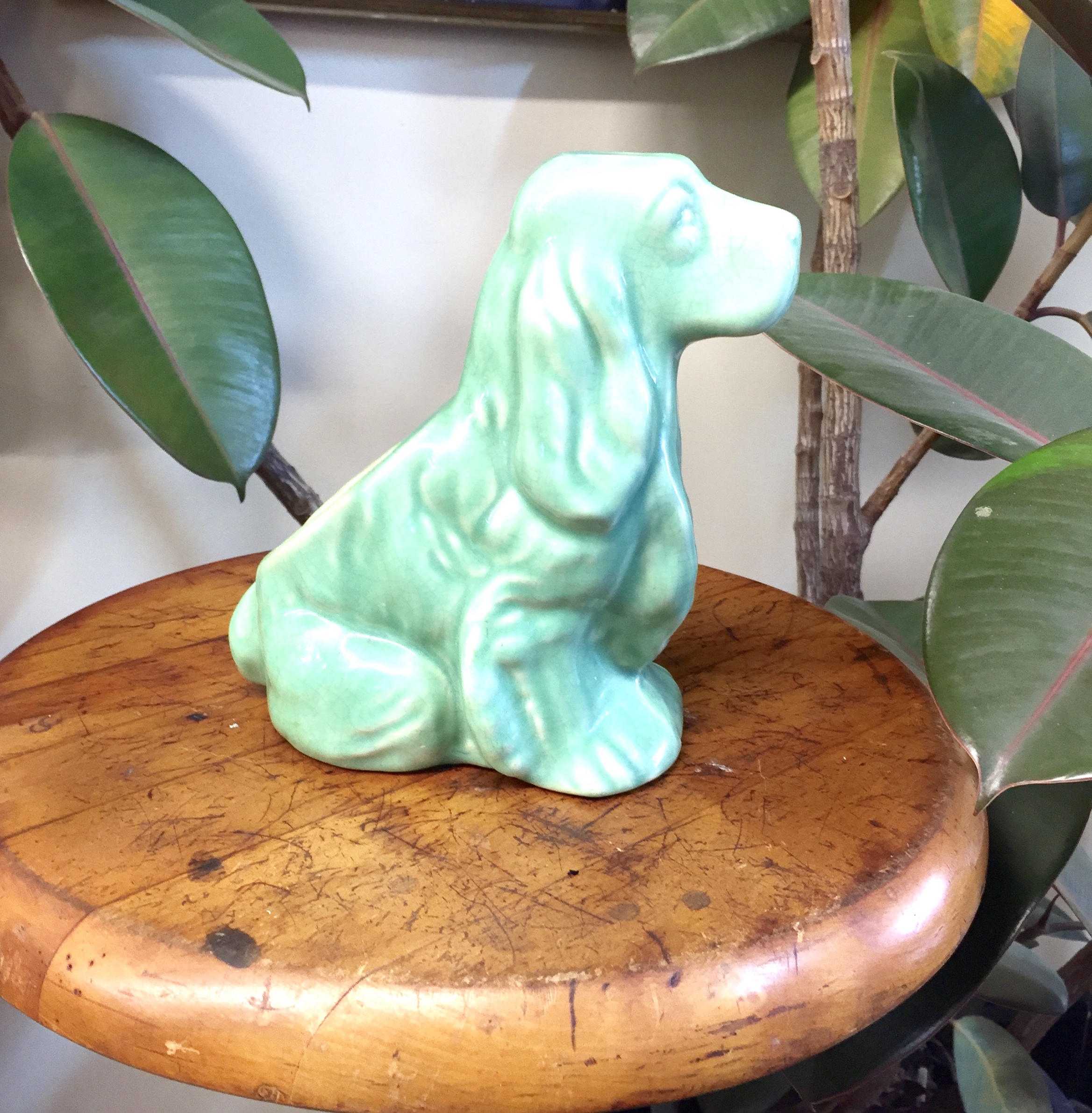 Vintage green ceramic cocker spaniel dog planter figurine displayed on a wooden surface, surrounded by green plant leaves, creating a charming midcentury modern home decor piece.