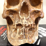 Vintage Decorative Human Skull | Ceramic Skull Decoration | Vintage Home Decor | Mantle Piece | Holiday Gift Idea | Ceramic Art |