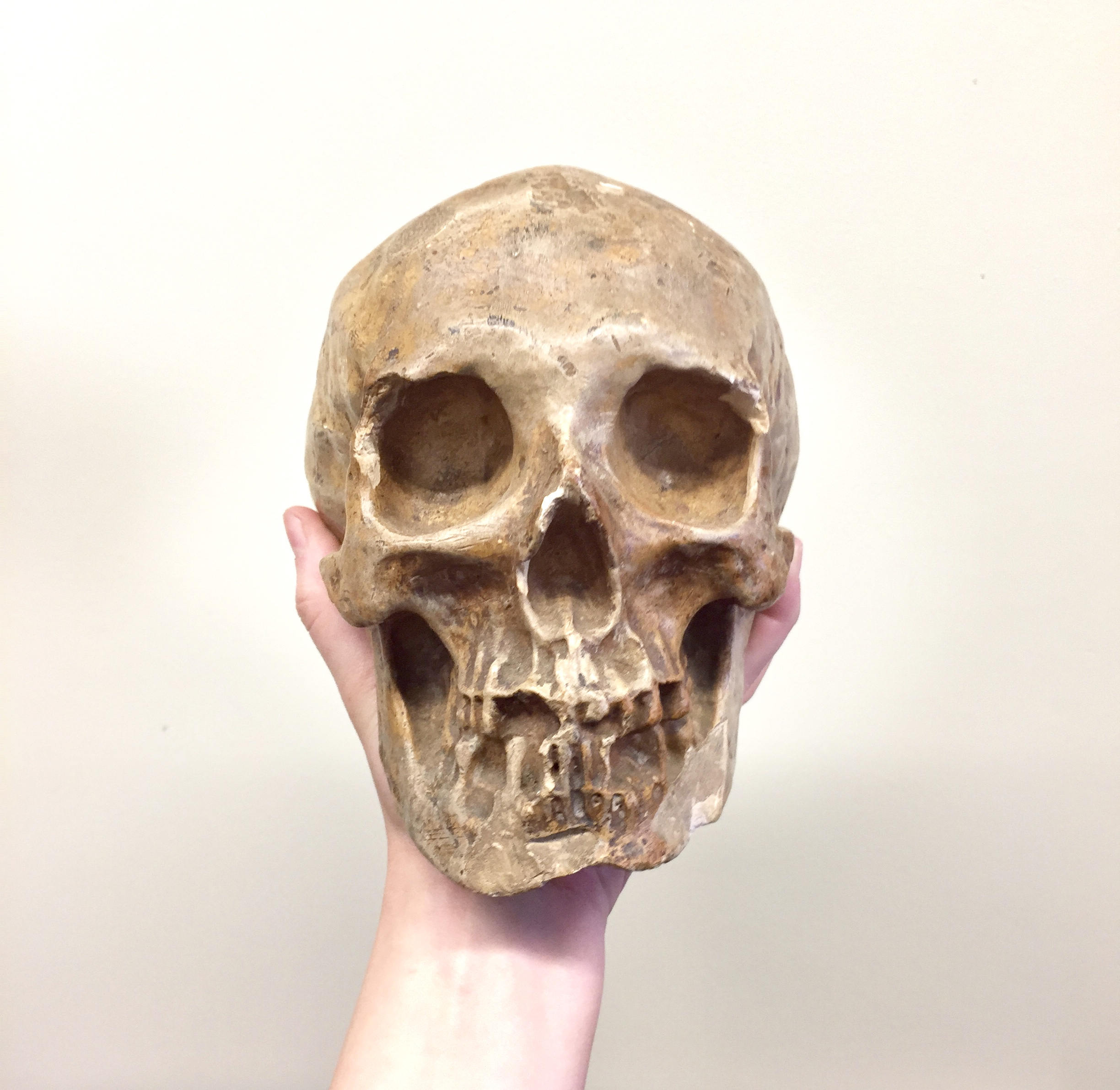Vintage Decorative Human Skull | Ceramic Skull Decoration | Vintage Home Decor | Mantle Piece | Holiday Gift Idea | Ceramic Art |