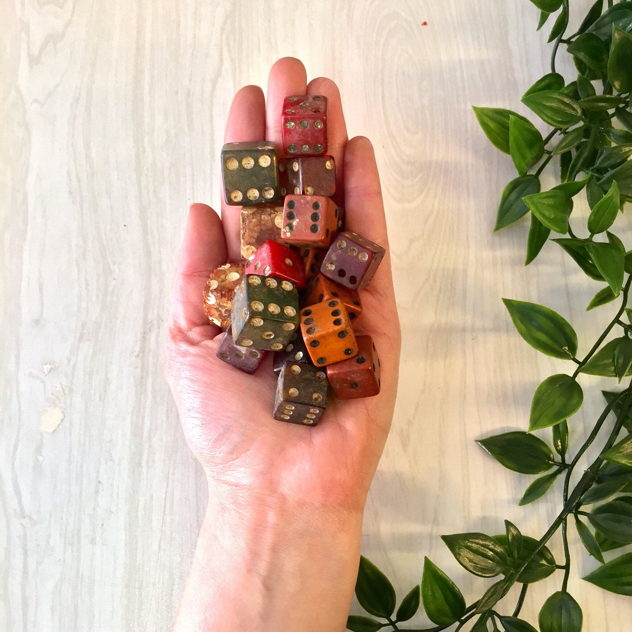 A hand holds a collection of vintage, multicolored dice in shades of red, orange, brown and marbled patterns against a wooden background with a green plant.