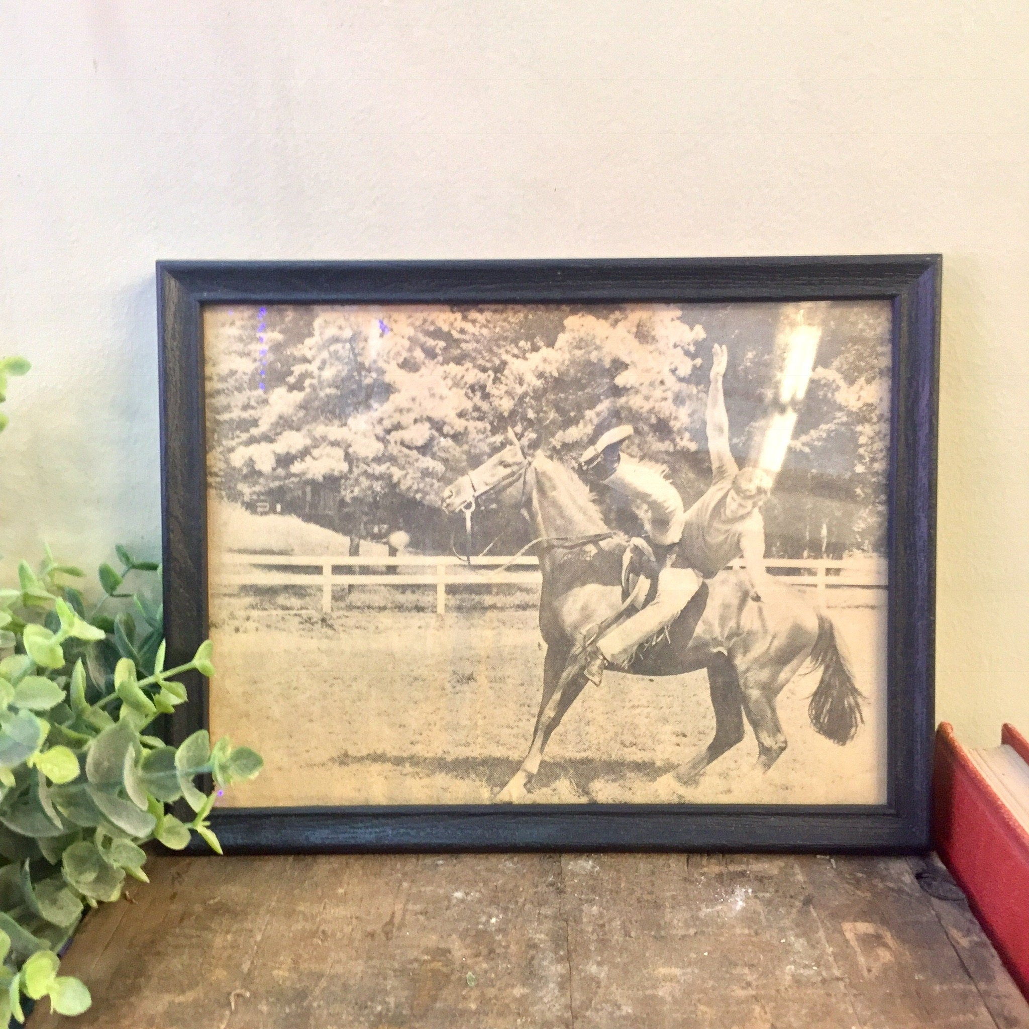 Vintage Framed Photograph, Framed Art, Vintage Home Decor, Wall Decor, Wall Hanging, Horse, Equestrian, Black and White, Photograph,