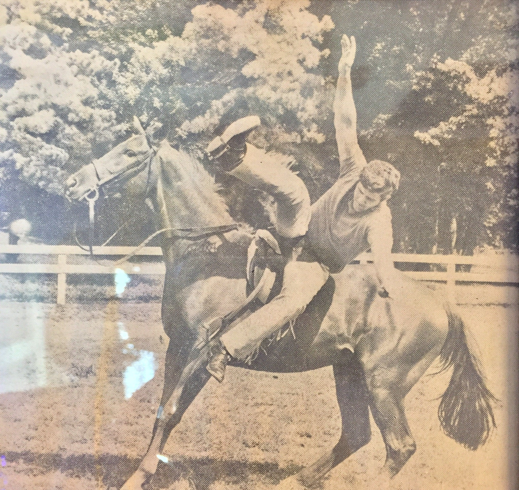 Vintage Framed Photograph, Framed Art, Vintage Home Decor, Wall Decor, Wall Hanging, Horse, Equestrian, Black and White, Photograph,