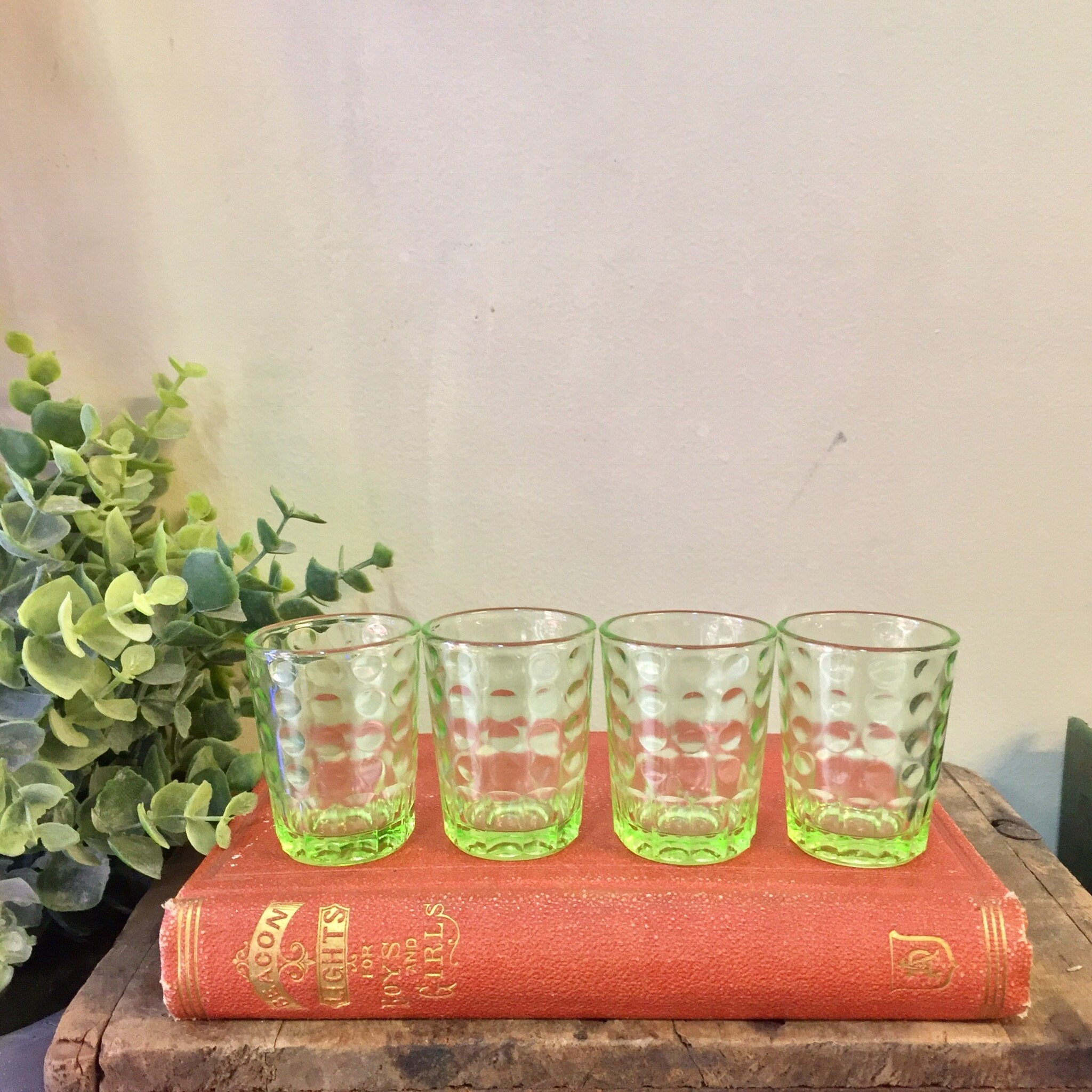 Four green Depression glass shot glasses with polka dot design on a red vintage book, next to a green plant.