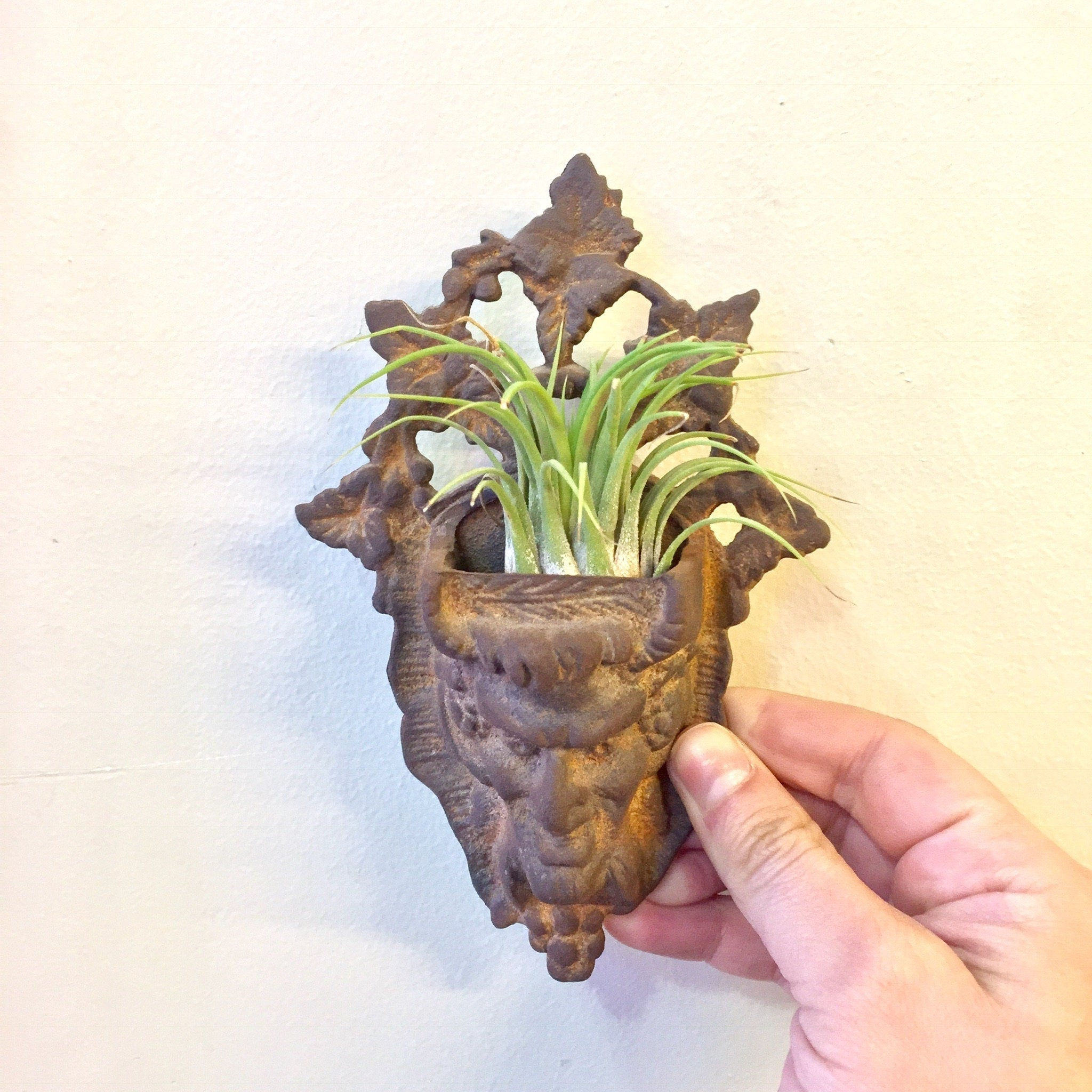 Cast Iron Wall Pocket, Vintage Wall Decor, Vintage Home Decor, Cast Iron, Air Plant Holder, Small Plant Holder, Wall Hanging, Match Holder