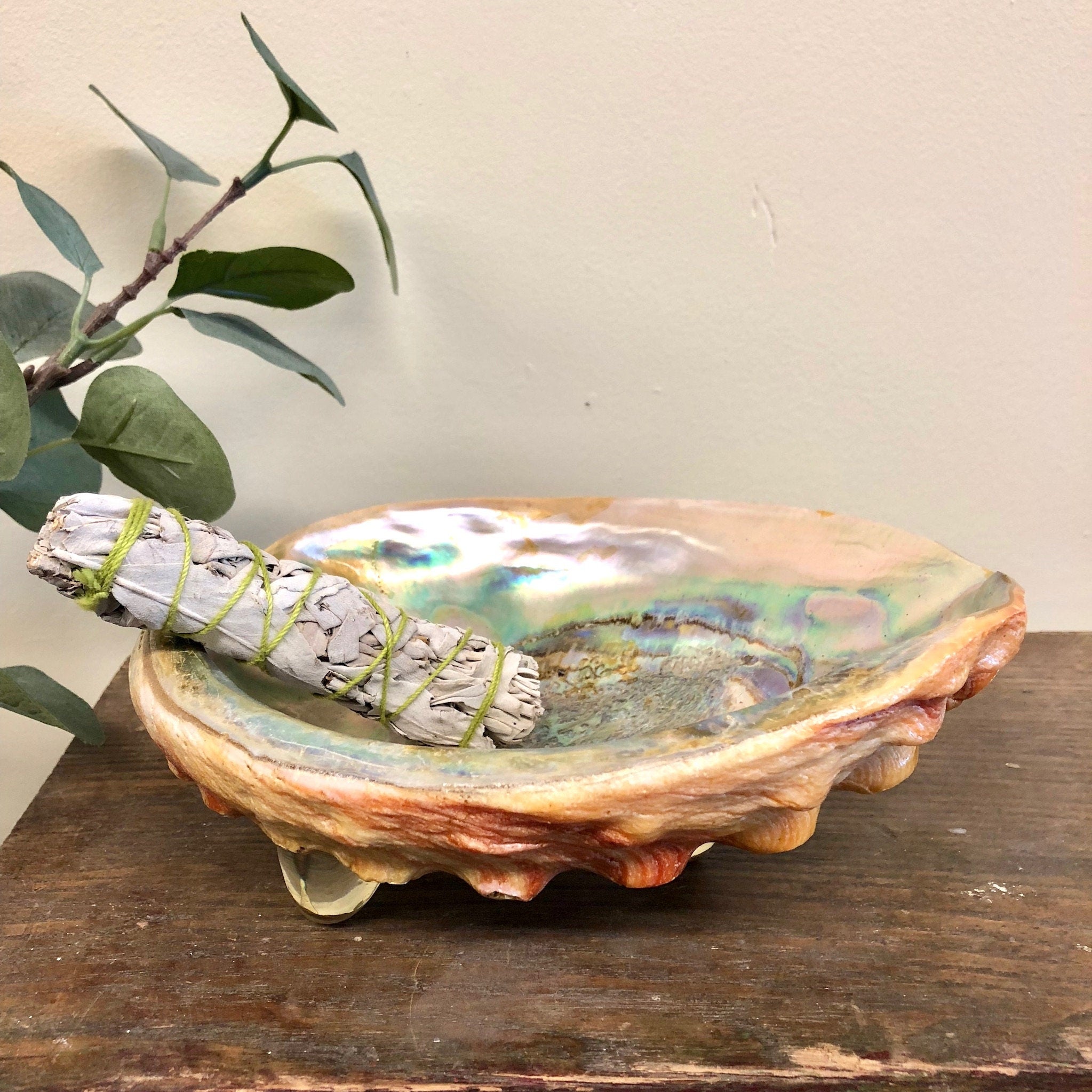 Abalone Shell Dish, Large Abalone Shell, Abalone Smudge Shell, Trinket Dish, Jewelry Dish, Vintage Home Decor, Shell, Bowl, Dish, Blue,