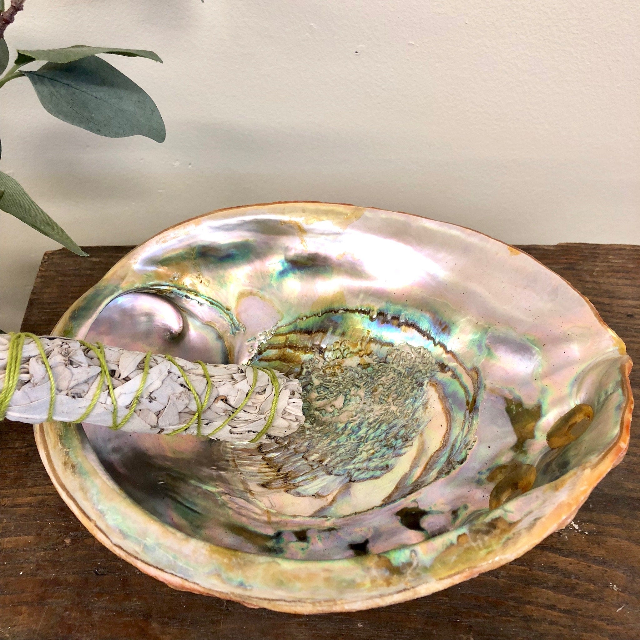Abalone Shell Dish, Large Abalone Shell, Abalone Smudge Shell, Trinket Dish, Jewelry Dish, Vintage Home Decor, Shell, Bowl, Dish, Blue,