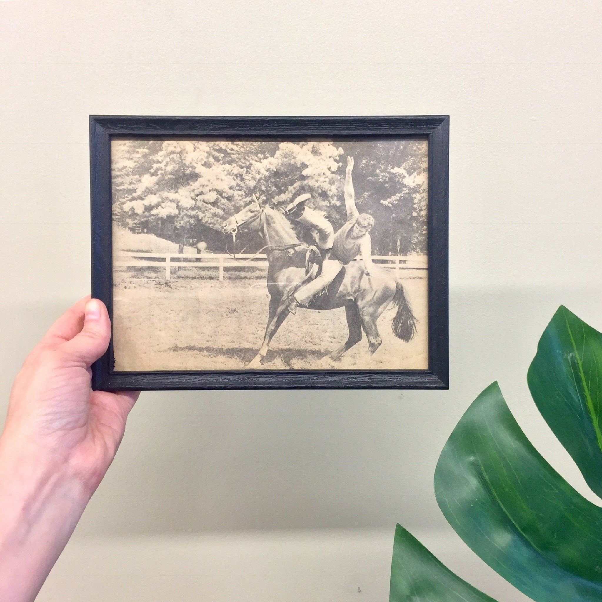 Vintage Framed Photograph, Framed Art, Vintage Home Decor, Wall Decor, Wall Hanging, Horse, Equestrian, Black and White, Photograph,