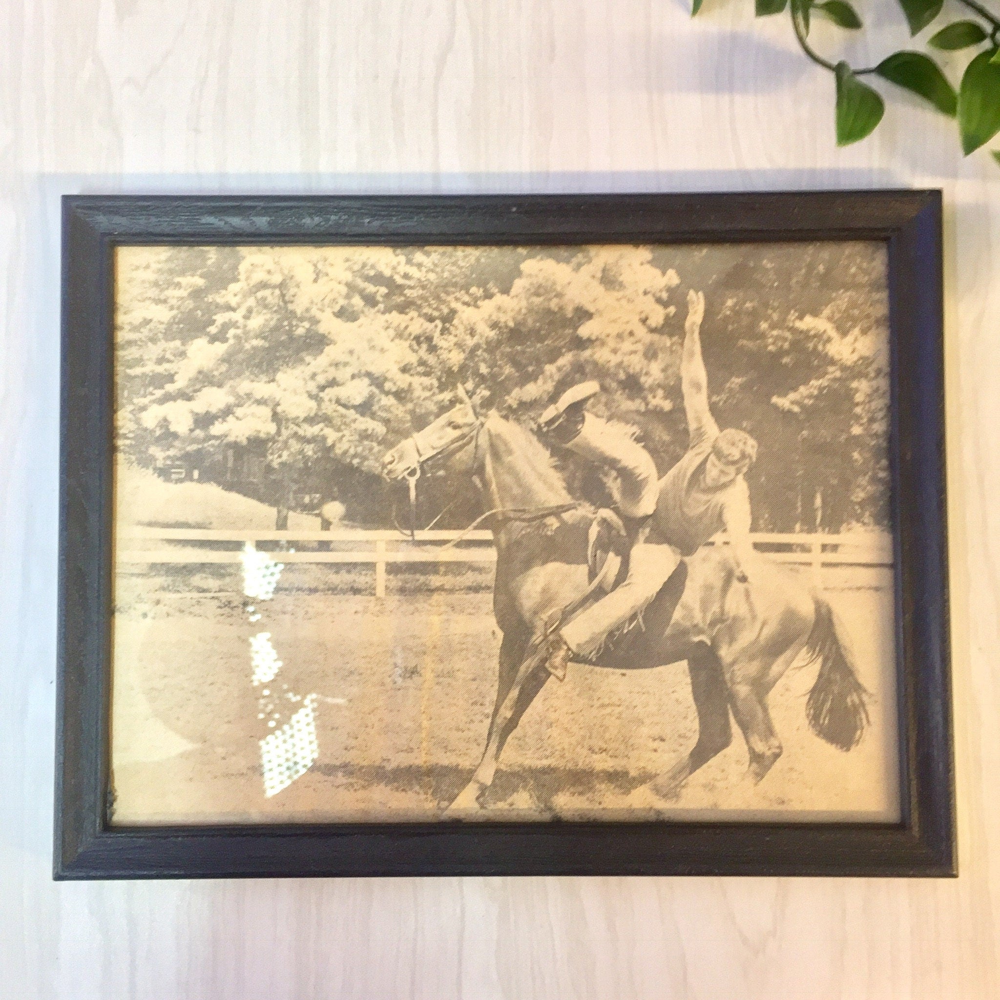 Vintage Framed Photograph, Framed Art, Vintage Home Decor, Wall Decor, Wall Hanging, Horse, Equestrian, Black and White, Photograph,