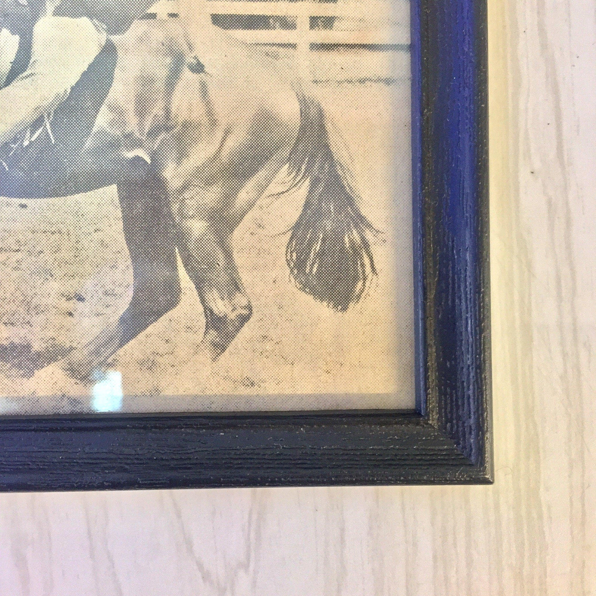 Vintage Framed Photograph, Framed Art, Vintage Home Decor, Wall Decor, Wall Hanging, Horse, Equestrian, Black and White, Photograph,