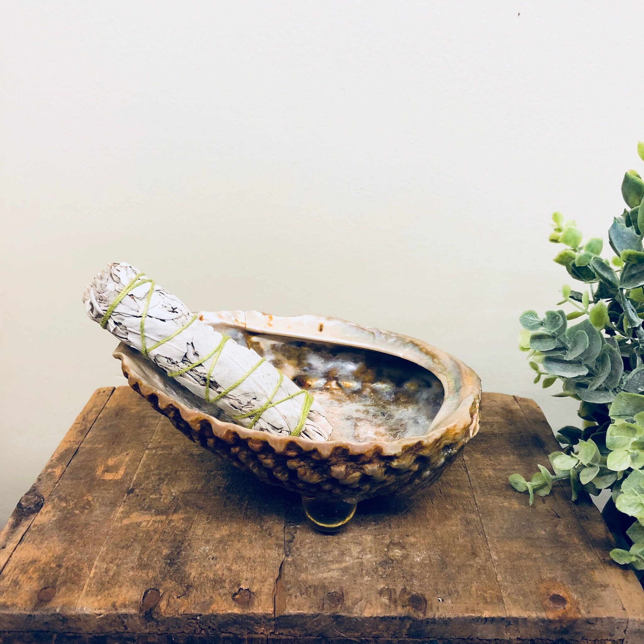 Abalone Shell, Abalone Dish, Shell Decor, Incense Burner, Smudge Burner, Vintage Home Decor, Jewelry Dish, Catch All Dish, Sage Smudge Stick
