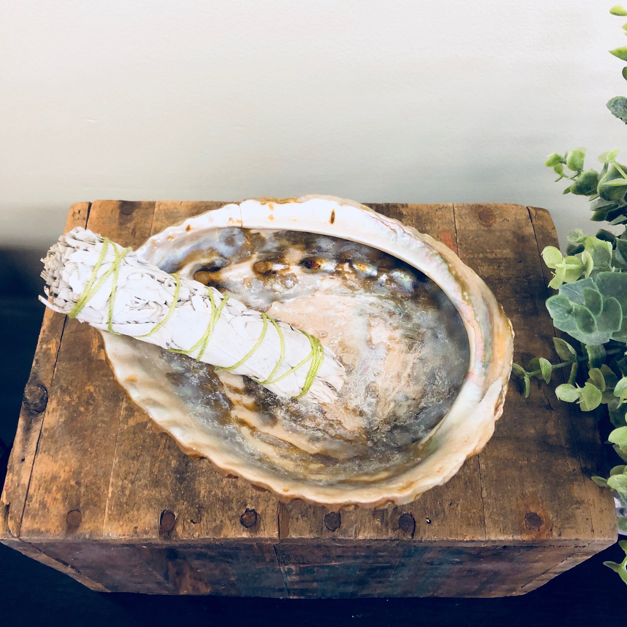 Abalone Shell, Abalone Dish, Shell Decor, Incense Burner, Smudge Burner, Vintage Home Decor, Jewelry Dish, Catch All Dish, Sage Smudge Stick