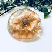 Vintage Paperweight, W Rolfe Paperweight, Lucite, Dried Flower, Pressed Flower, Flower Paperweight, Office Decor, Vintage Home Decor, Flower