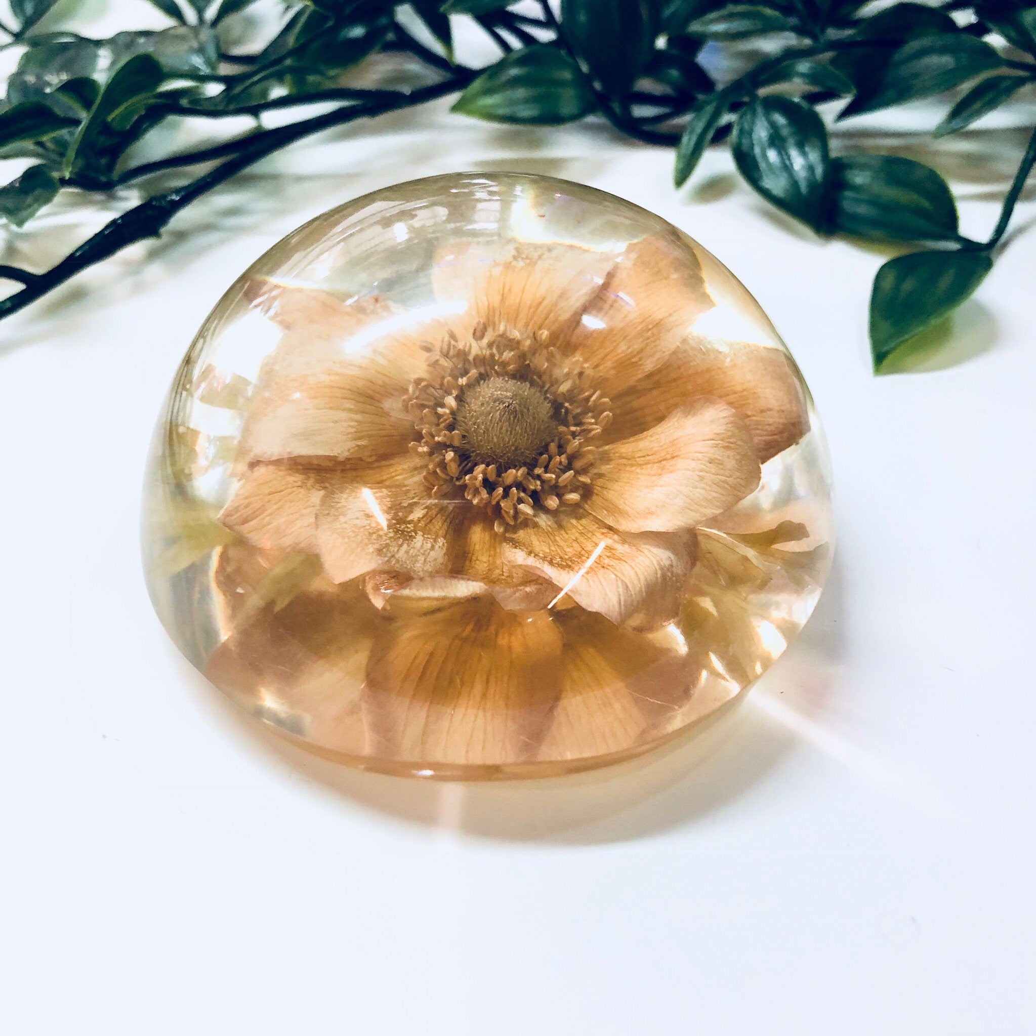Vintage Paperweight, W Rolfe Paperweight, Lucite, Dried Flower, Pressed Flower, Flower Paperweight, Office Decor, Vintage Home Decor, Flower
