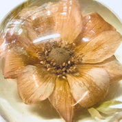 Vintage Paperweight, W Rolfe Paperweight, Lucite, Dried Flower, Pressed Flower, Flower Paperweight, Office Decor, Vintage Home Decor, Flower