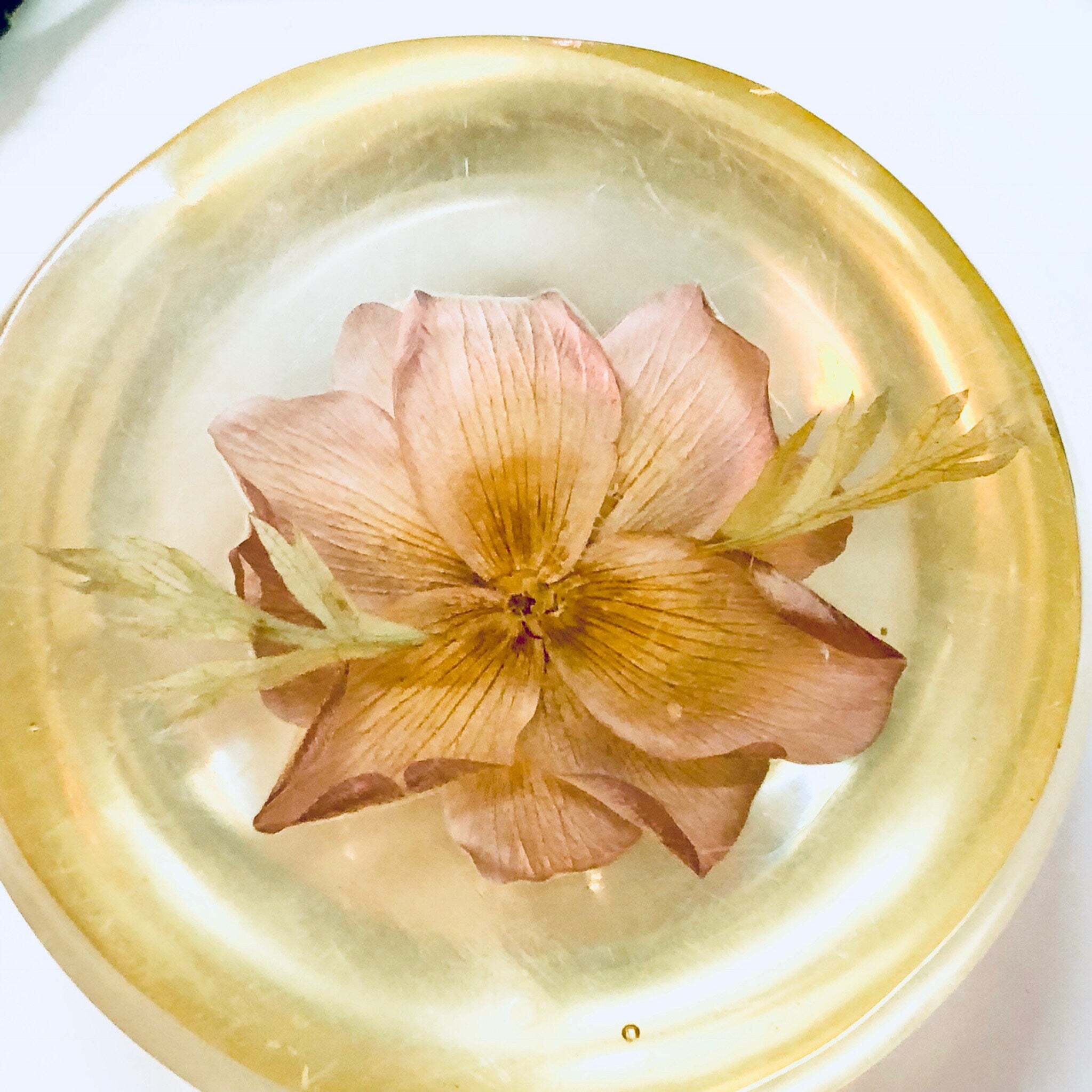 Vintage Paperweight, W Rolfe Paperweight, Lucite, Dried Flower, Pressed Flower, Flower Paperweight, Office Decor, Vintage Home Decor, Flower