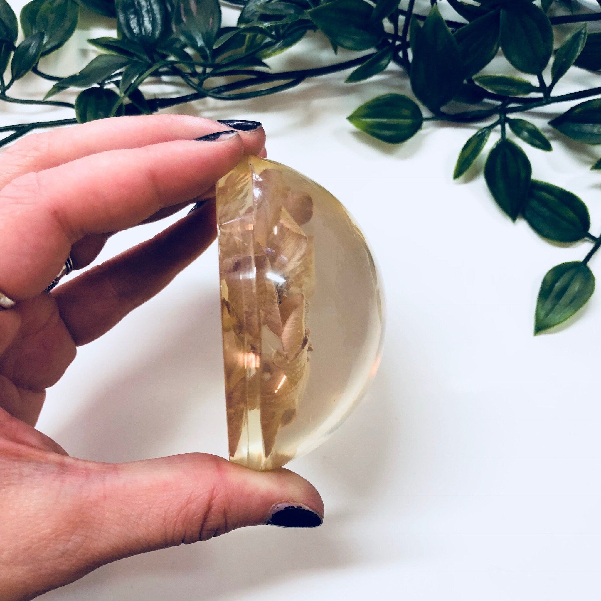 Vintage Paperweight, W Rolfe Paperweight, Lucite, Dried Flower, Pressed Flower, Flower Paperweight, Office Decor, Vintage Home Decor, Flower
