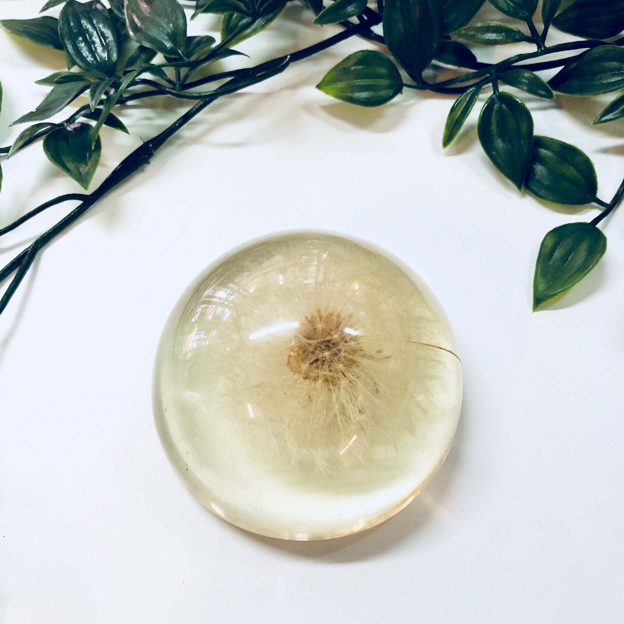 Vintage Paperweight, Lucite, Dandelion, Office Decor, Vintage Home Decor, Preserved Dandelion, 1960s Decor, Unique Decor, Rare, Clear,Flower
