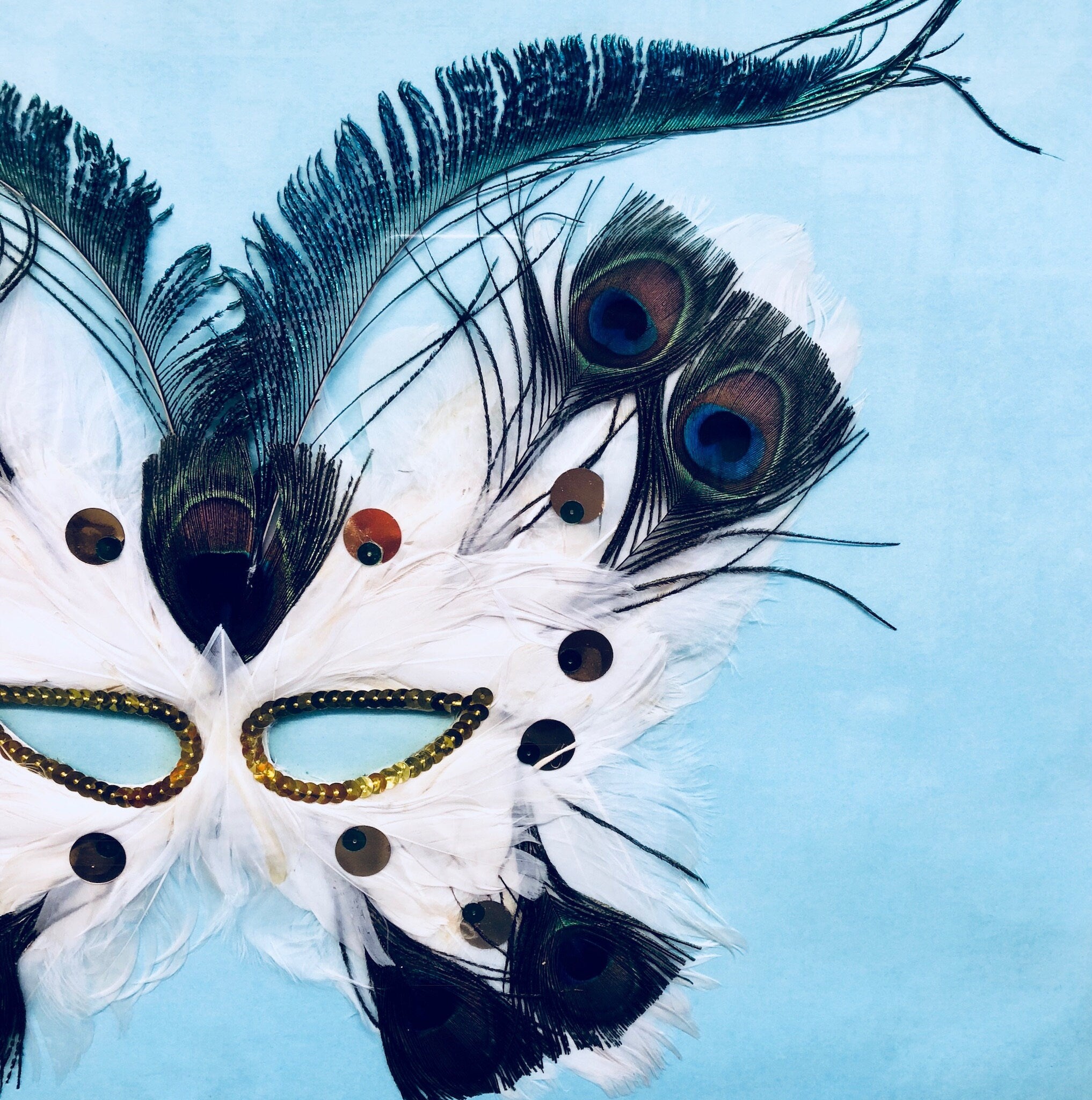 Masquerade Mask, Framed Art, Vintage Mask, Framed Mask, Gold Frame, Wall Art, Vintage Home Decor, Light Blue, Sky Blue, Peacock Feathers