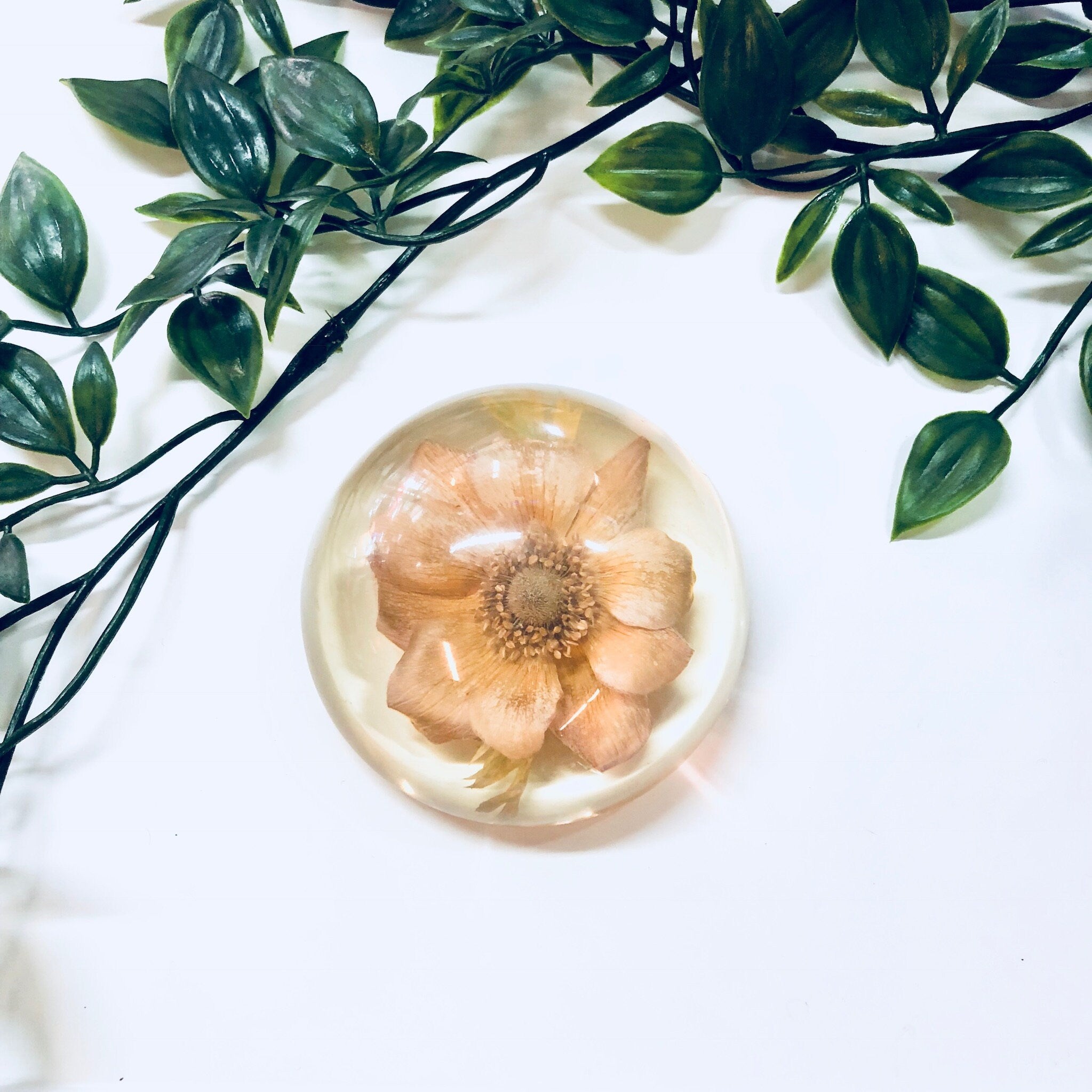 Vintage Paperweight, W Rolfe Paperweight, Lucite, Dried Flower, Pressed Flower, Flower Paperweight, Office Decor, Vintage Home Decor, Flower
