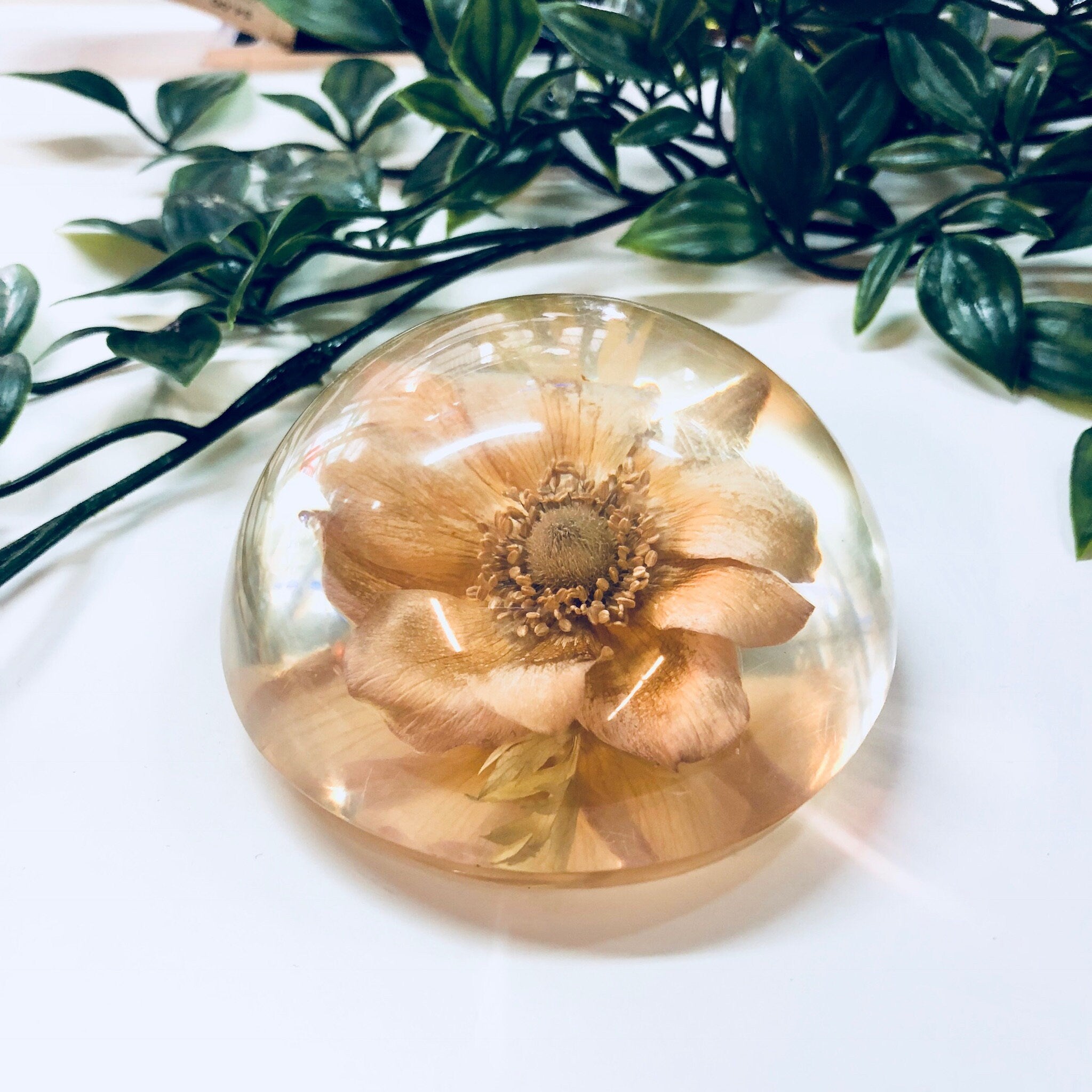 Vintage Paperweight, W Rolfe Paperweight, Lucite, Dried Flower, Pressed Flower, Flower Paperweight, Office Decor, Vintage Home Decor, Flower