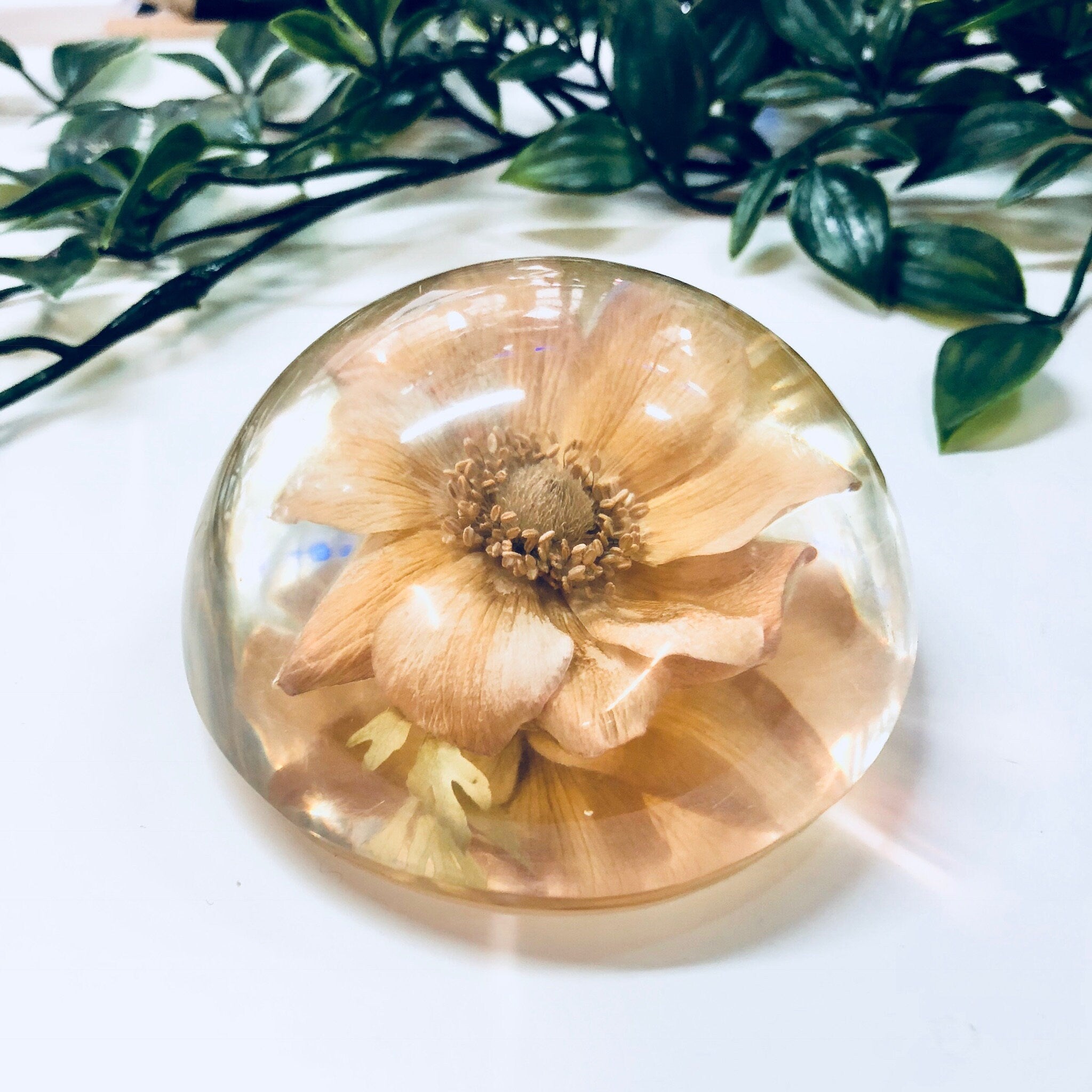 Vintage Paperweight, W Rolfe Paperweight, Lucite, Dried Flower, Pressed Flower, Flower Paperweight, Office Decor, Vintage Home Decor, Flower