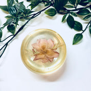 Vintage Paperweight, W Rolfe Paperweight, Lucite, Dried Flower, Pressed Flower, Flower Paperweight, Office Decor, Vintage Home Decor, Flower