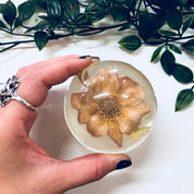 Vintage Paperweight, W Rolfe Paperweight, Lucite, Dried Flower, Pressed Flower, Flower Paperweight, Office Decor, Vintage Home Decor, Flower