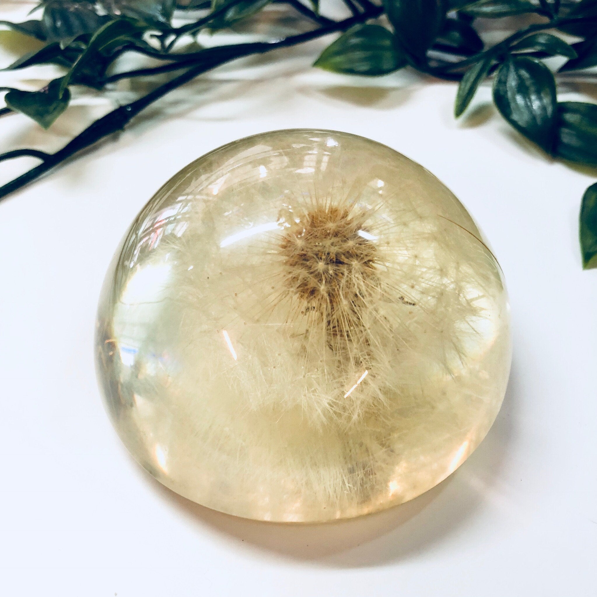 Vintage Paperweight, Lucite, Dandelion, Office Decor, Vintage Home Decor, Preserved Dandelion, 1960s Decor, Unique Decor, Rare, Clear,Flower