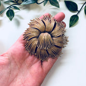 Vintage Brooch, Monet Brooch, Gold Toned Jewelry, Statement Jewelry, Swirl Brooch, Unique Jewelry, Large Brooch, Pin, Vintage Jewlery, Gold