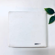 Vintage Wallet Photo Album, Vintage Photo Slip, Slip In Photograph Holder, Photos, Pictures