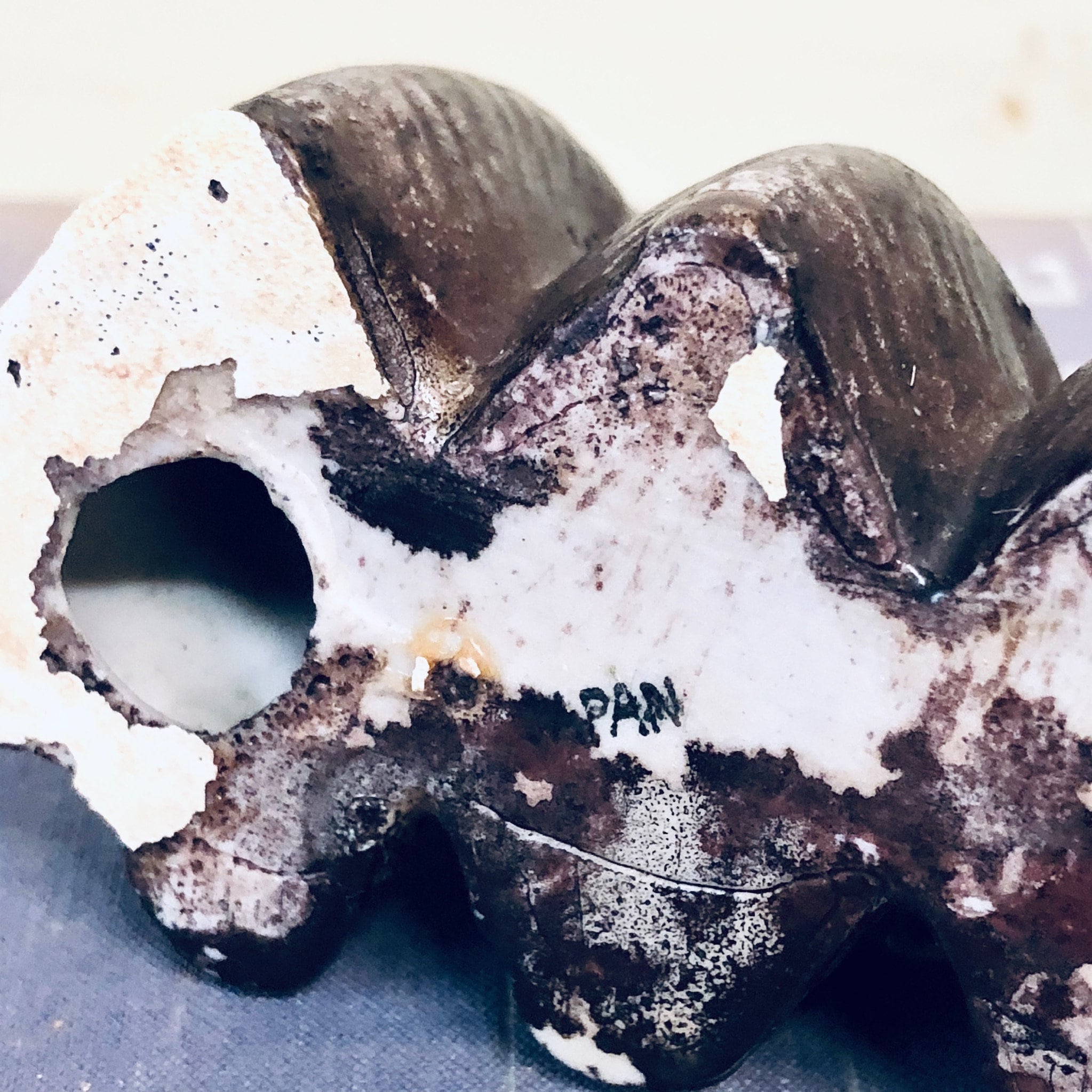 Broken ceramic see no evil, hear no evil, speak no evil monkey figurine with chipped ears on gray background