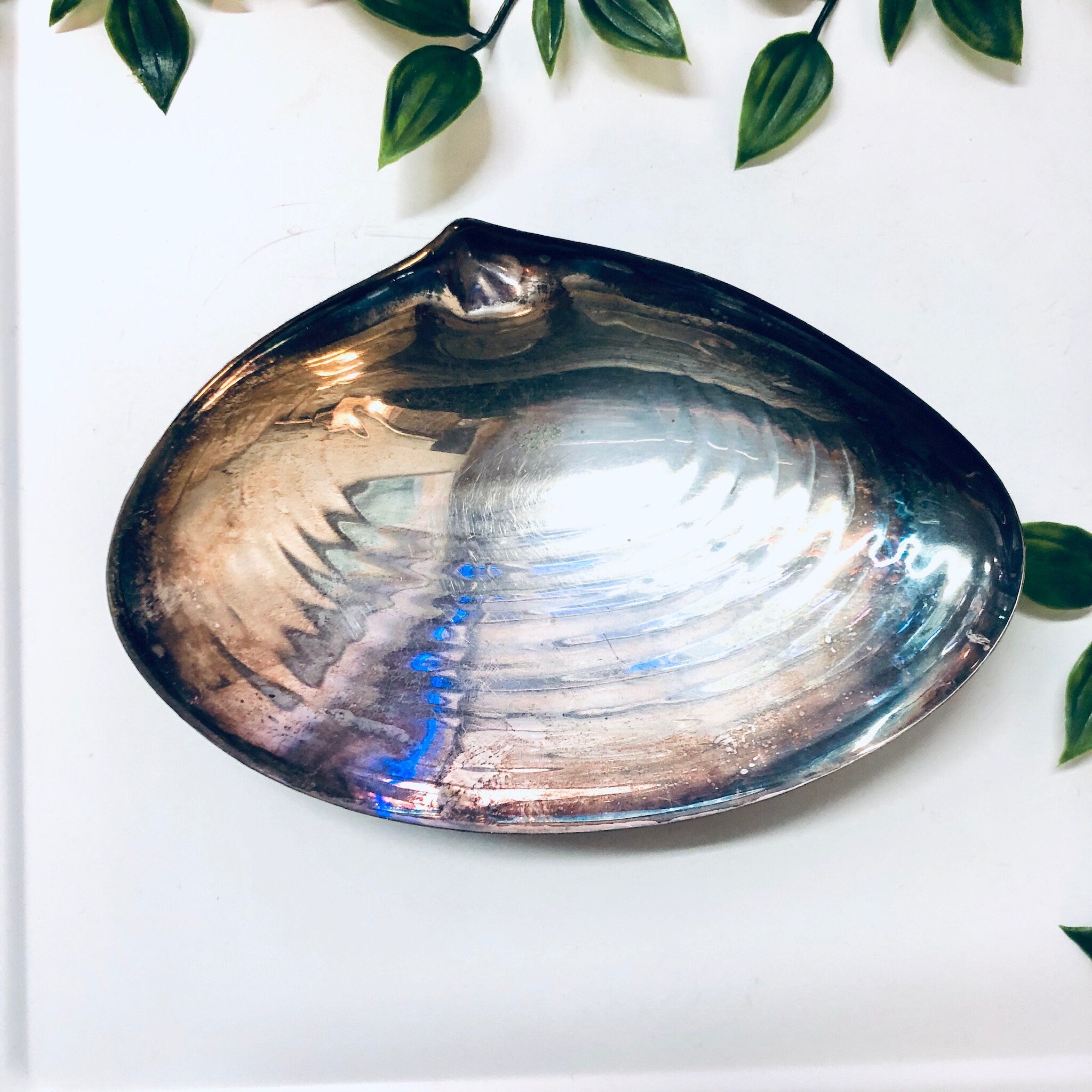 Vintage Catch All Dish, Ring Dish, Shell Dish, Silver Toned Shell, Seashell, Shore Decor, Shore House, Vintage Home Decor, Bedside Table