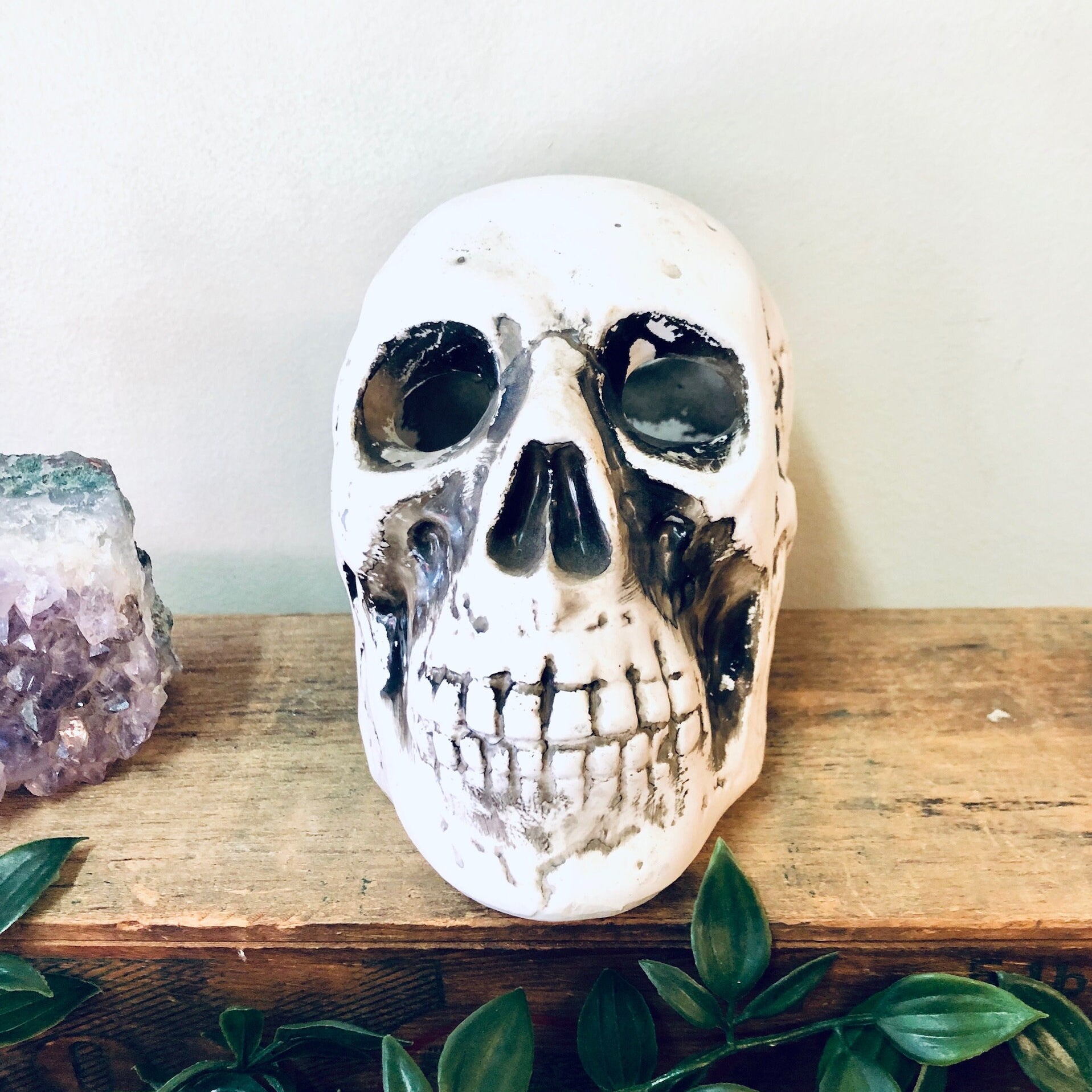 Vintage Skull Planter, Skull Decor, Air Plant Holder, Air Plants, White Skull, Vintage Home Decor, Unique Decor, Halloween Decor, Goth Style