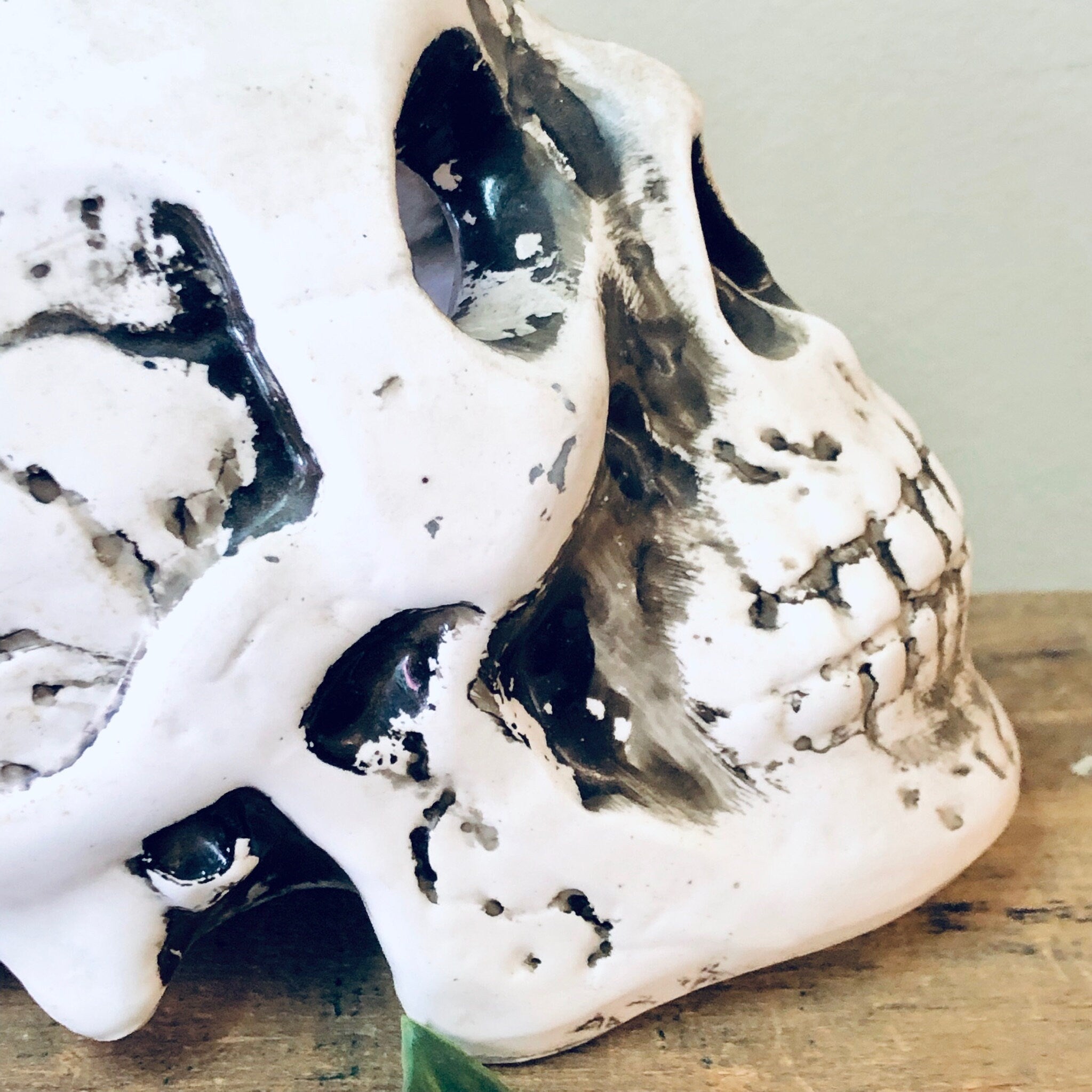 White ceramic skull planter with black accents, for air plants or unique vintage Halloween home decor in goth style